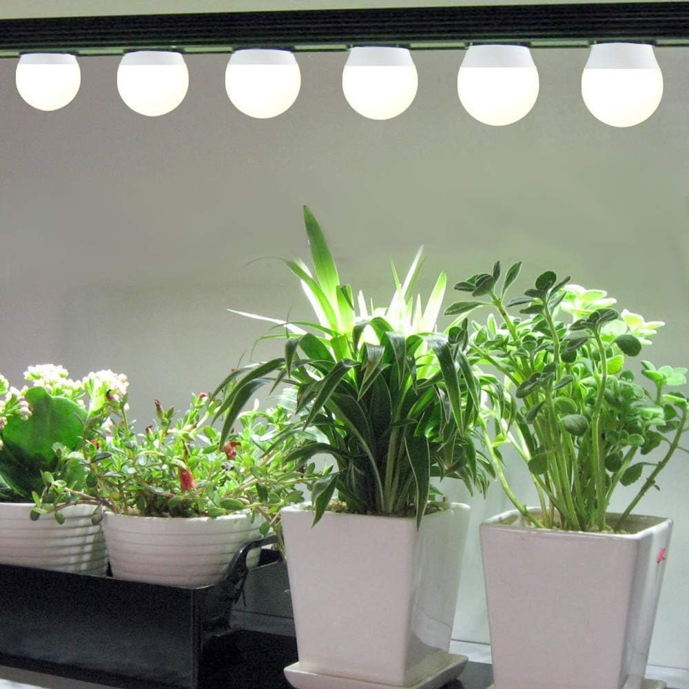 6 Pack Full Spectrum Grow Light Bulbs,A19 Grow Lights for Indoor Plants,Dimmable E26 9W Grow Bulb Replace up to 100W,Plant Lights for Indoor Growing,Flowers,Greenhouse,Indore