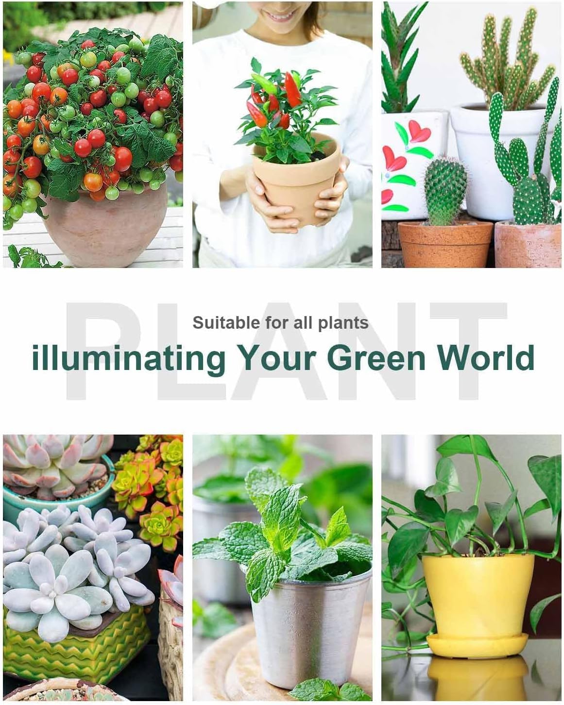 Grow Lights for Indoor Plants,Full Spectrum Grow Light with Warmwhite Red LED,Dual Head Clip Plant Light for Indoor Plants,Manual ON/Off Switch,Adjustable Gooseneck Plant Light for Houseplants