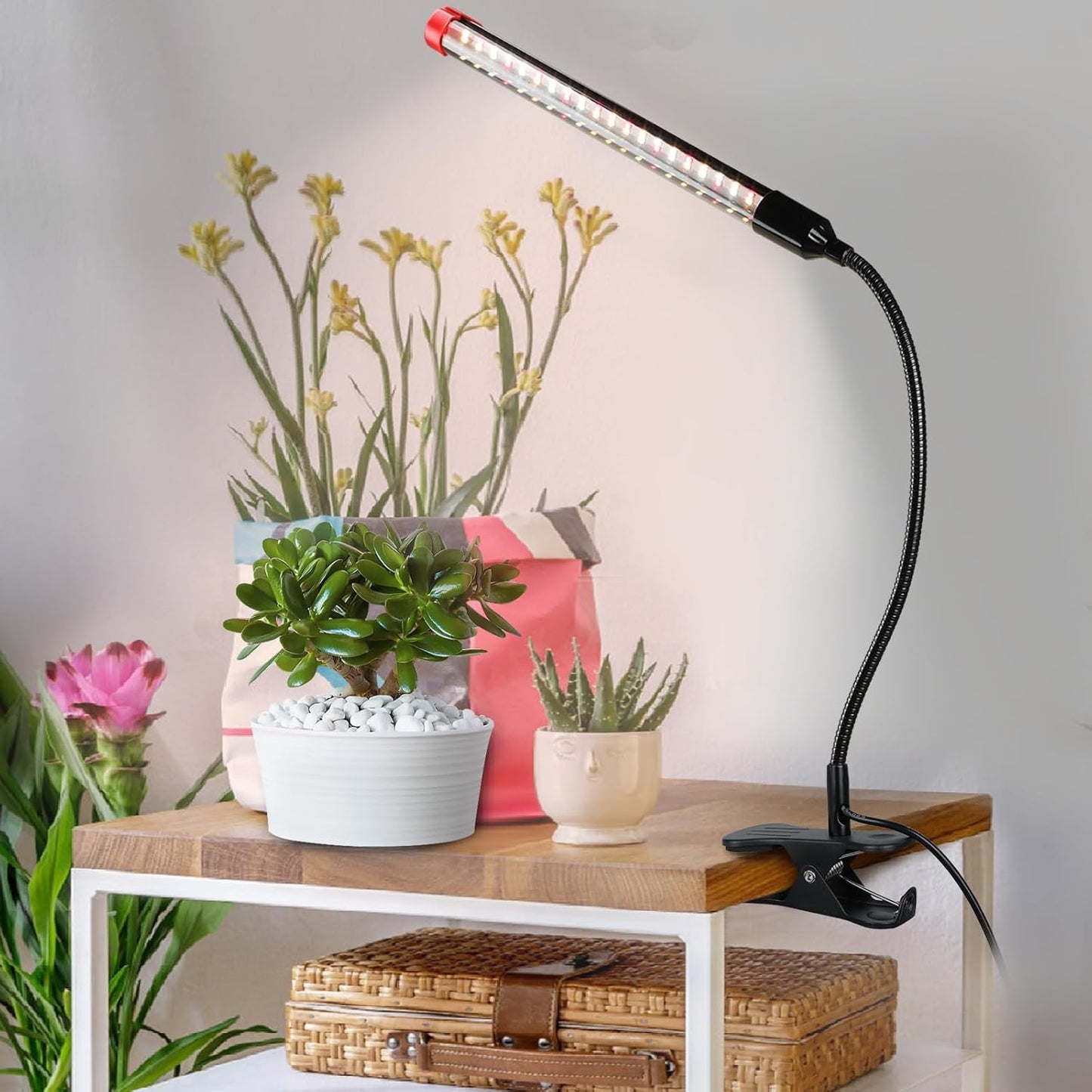 Game Changer! FECiDA 2026 2Pack 9 Watt Power Draw, NO Need Adapter, Clip Grow Lights for Small Indoor Plants, Bonsai, 4/8/12/16/20H Timer, Enough Bright Like Sun for Your Plants