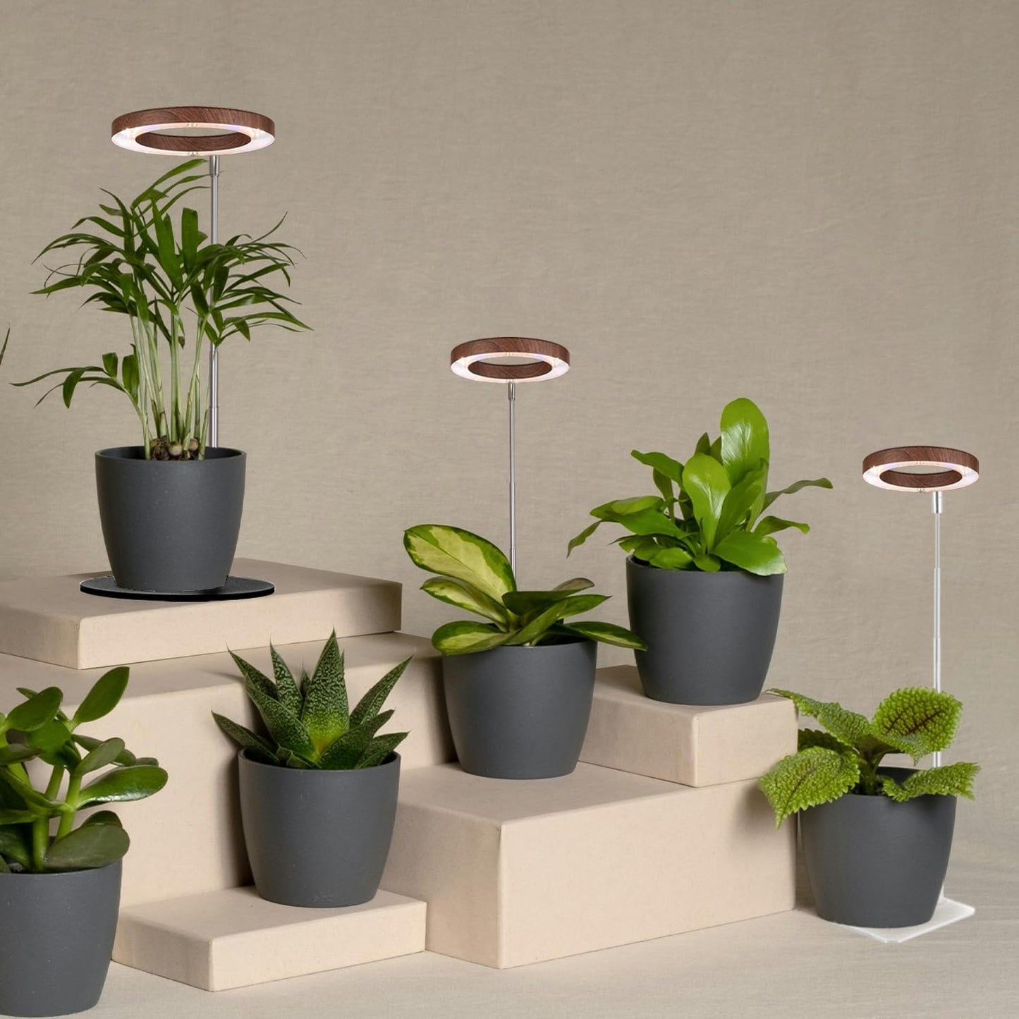 yadoker 144 LEDs Plant Grow Light for Indoor Plant,Walnut Wood Grain Aluminum LED Grow Light with Black Base, Height Adjustable,6.3" Aluminum Housing,Automatic Timer with 8/12/16 Hours,2 Pack