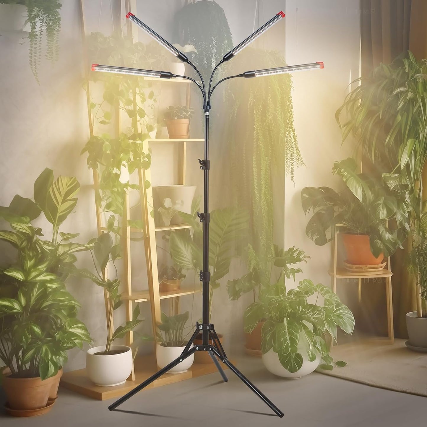 4Head Grow Light with Stand, Grow Lights for Indoor Tall Plants, Bonsai Tree, 4/8/12/16/20H Timer, 36 Watt Power Draw, NO Need Adapter, Bright and Big Coverage, Best Gift for Plants Lover