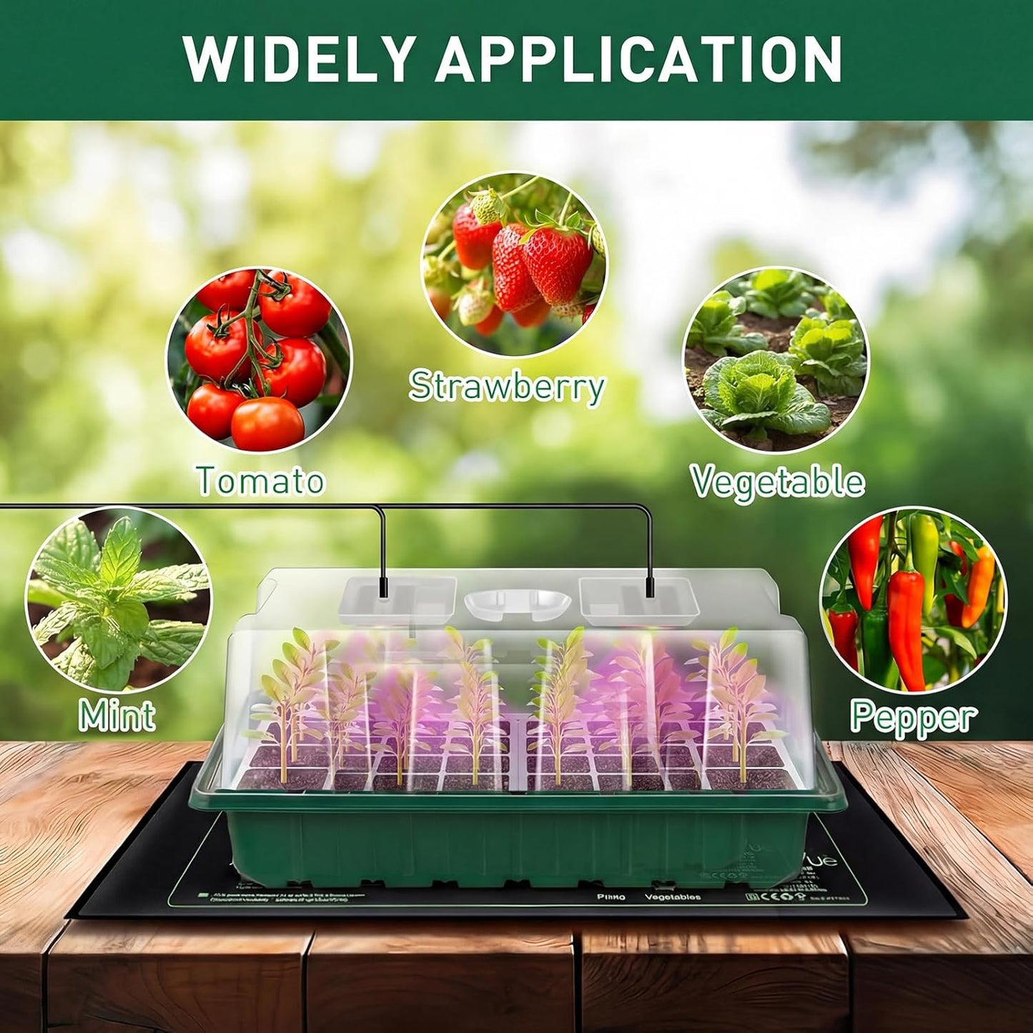 Verdenu Seed Starter Tray with Grow Lights and Heat Mat, Extra Large 24-Cell Seed Growing Tray with heightened Lid, Seed Trays with Humidity Domes for Propagation and Germination for Indoor Plants