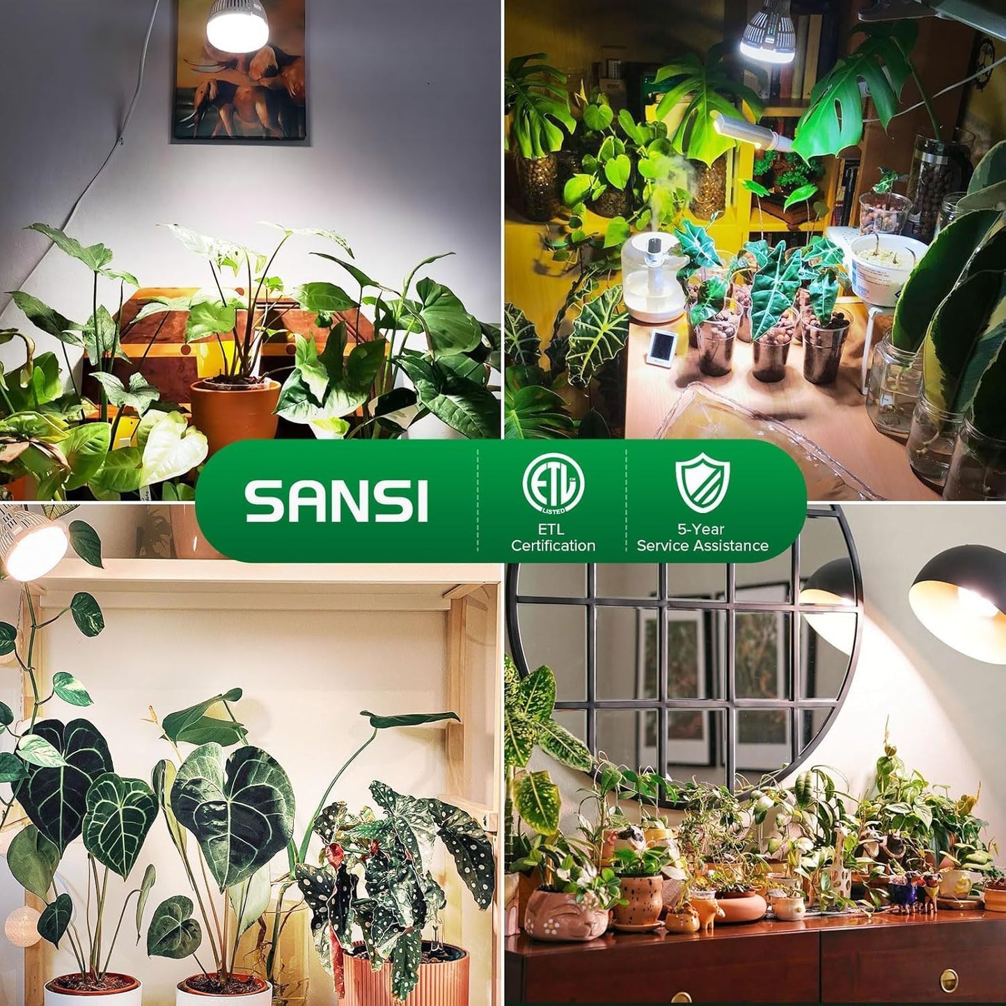 SANSI Dimmable Grow Light Bulb, Full Spectrum with Remote Control, Auto On Off Timing 4 8 12 Hrs, 10W PAR20 (150 Watt Equiv) Grow Lamp with Optical Lens for High PPFD, Energy Saving for Indoor Plants
