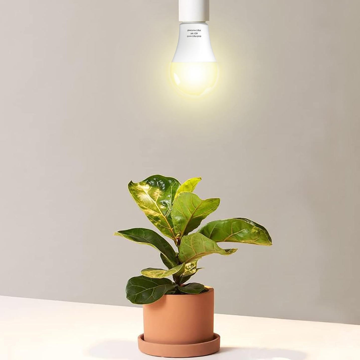 6 Pack Full Spectrum Grow Light Bulbs,A19 Grow Lights for Indoor Plants,Dimmable E26 9W Grow Bulb Replace up to 100W,Plant Lights for Indoor Growing,Flowers,Greenhouse,Indore