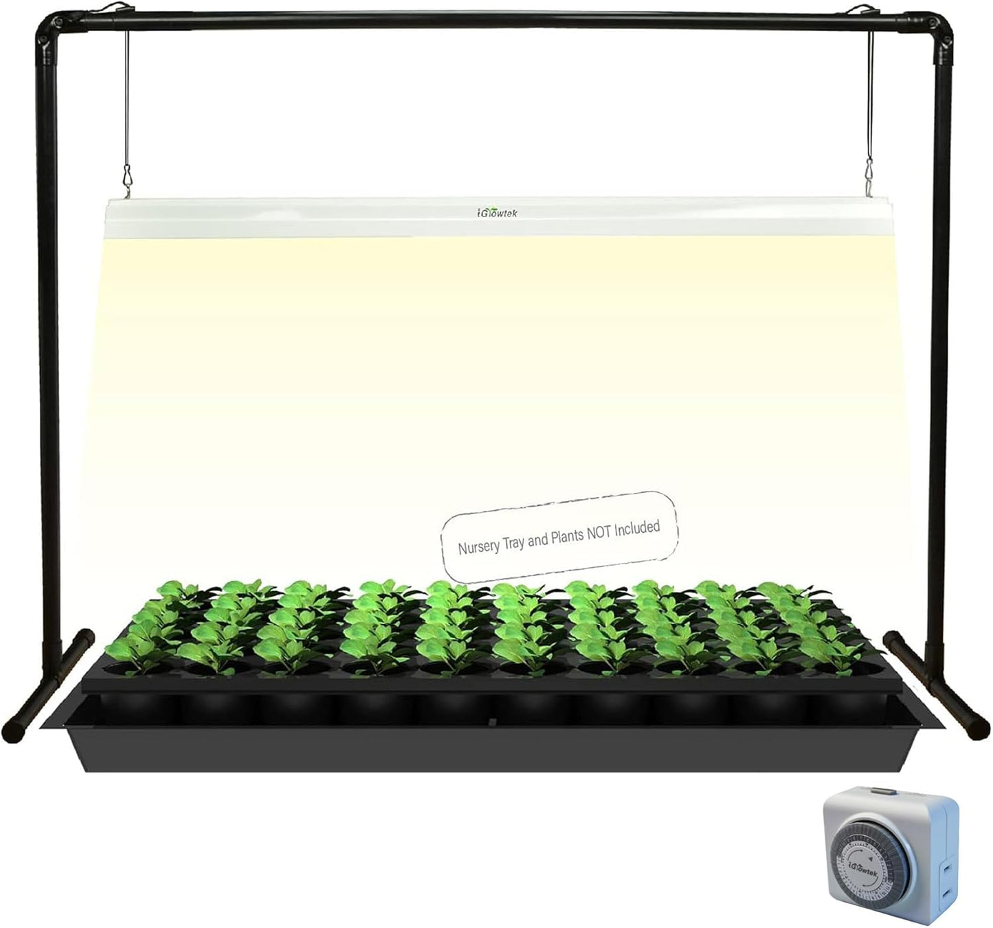 2 feet LED Grow Light Stand for Seedling,Iron Pipe Frame,with Natural White Light Full Spectrum LED Plant Growing Lamp, Light Height Ajustable,with Timer Outlet