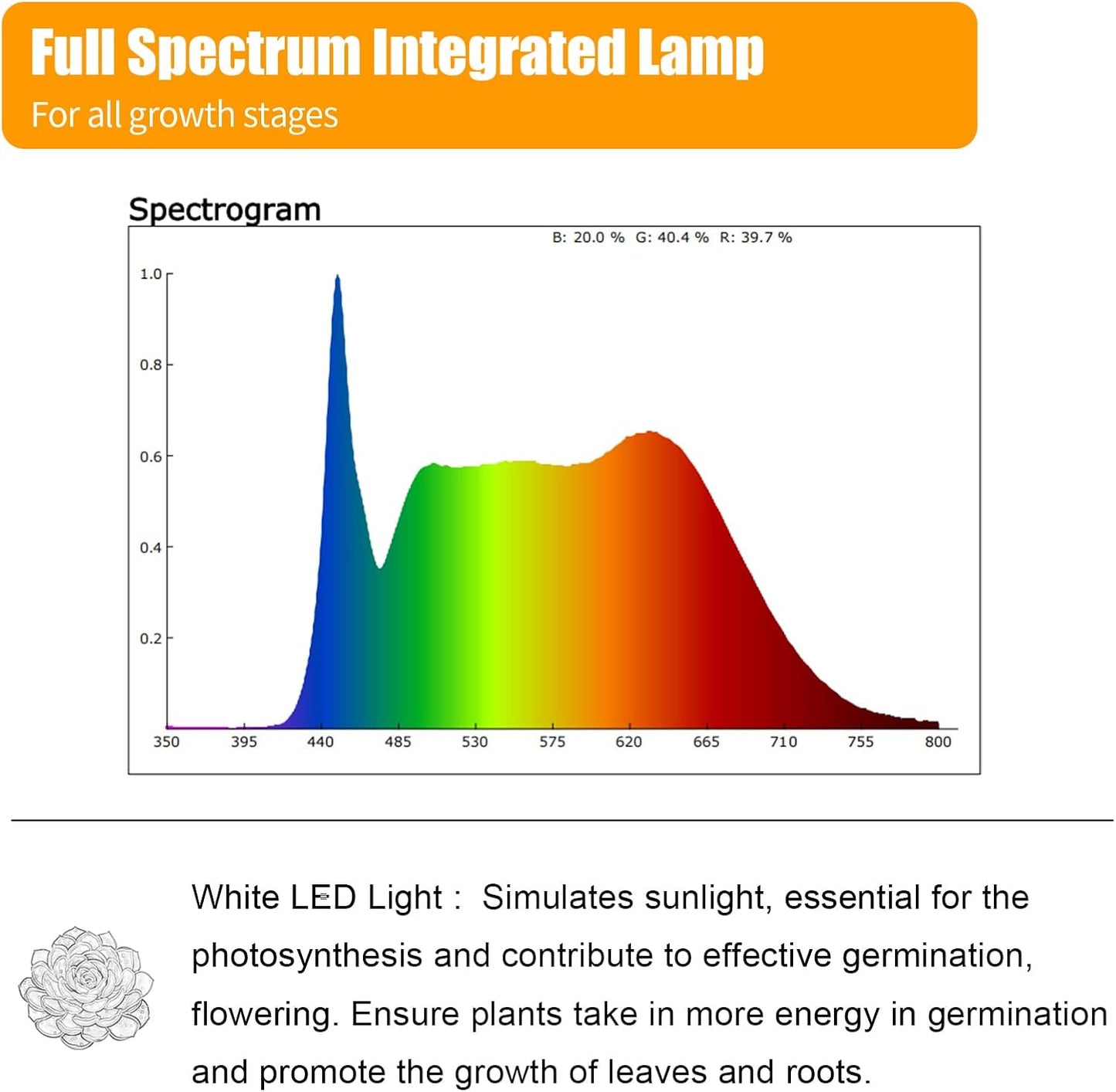 T5 1FT 0.3M 6W×4 White Light 5000K Grow Light Tubes,Full Spectrum LED Grow Lights,6W Energy Efficient,Plug & Play,for Hydroponics/Soil Seedlings Vegetables Herbs Flower (4 Packs)