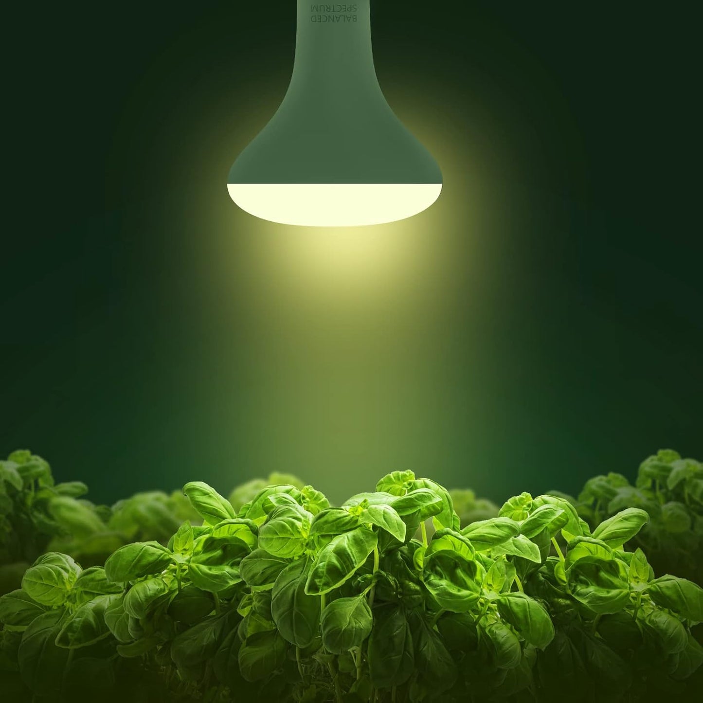 Briignite 4 Pack LED Grow Light Bulb, BR30 Grow Light Bulbs, Full Spectrum Grow Light Bulb 12W, 120W Equivalent, E26 Plant Light Bulbs, Grow Light for Indoor Plants, Seedlings, Greenhouse