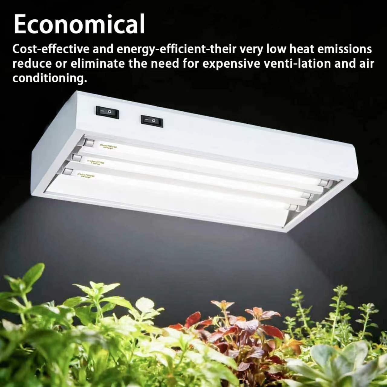 F24T5/865 6 Pack 22 Inch T5 Fluorescent Grow Light Bulbs, 24W 6500K Full Spectrum, 2000 Lumens, High Output (HO) Bulbs for Indoor Plants, Seedlings, Veg Growing, Sunlight White, Energy Efficient