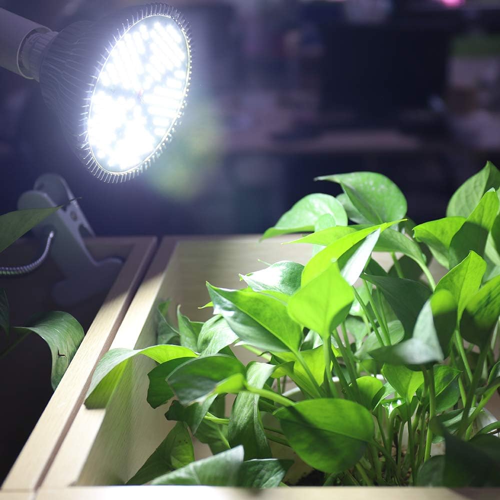 MILYN LED Grow Light Bulb for Indoor Plants Full Spectrum Pure White Grow Lamp, 2 Pack 100W E26 LED Plant Bulb for Seedlings, Flowers, Greenhouse, Vegetable, Succulent, Houseplants, Hydroponic