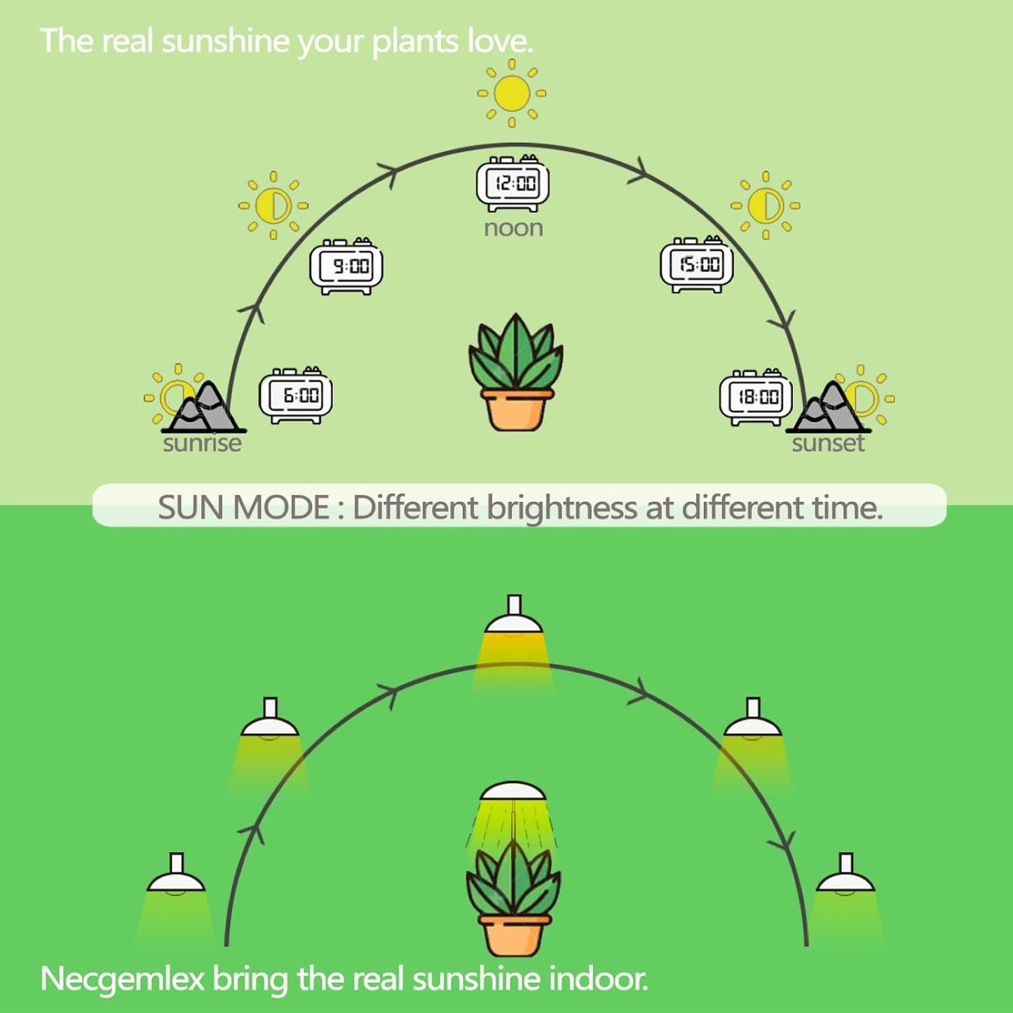 Smart LED Grow Light Bulbs with Remote Controller, Sun Mode, Built-in Daily Auto Timer, 4500K, A21/A70 E26/E27 9W Dimmable Full Spectrum Grow Bulbs for Indoor Plants, 2 Pack