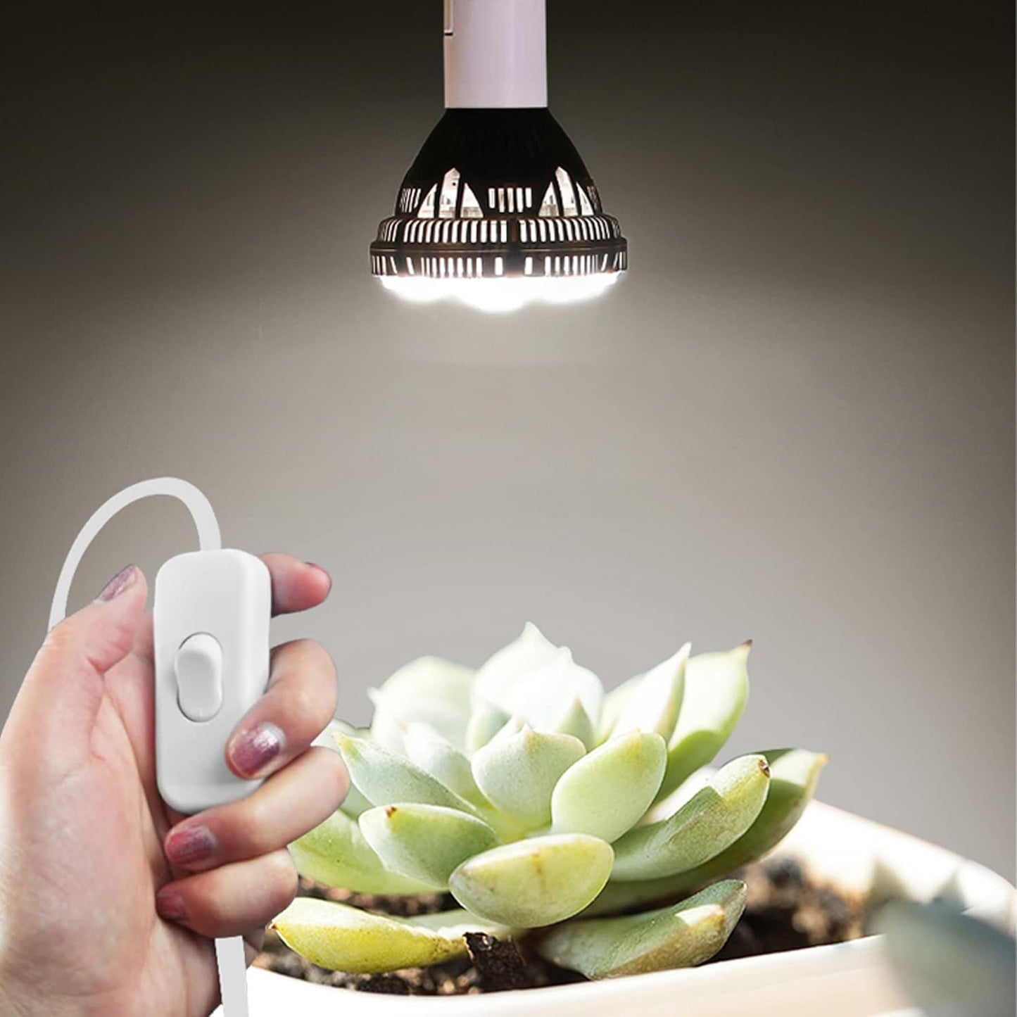 Hanging Light Socket with Cord - Extension Hanging Lantern Cord Cable - Lamp Cord with Switch E26/E27 Pendant Light Socket, 8.2Ft Light Bulb Cable, White, 4 Pack