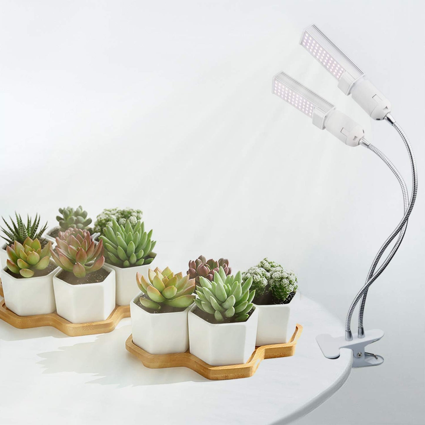 Smart LED Grow Lights for Indoor Plants - Real Time Sunlight Brightness Simulation, Full Spectrum Grow Light with 2-24 Hours Timer, Auto on/Off, Independent Control Dual Heads, Dimmable