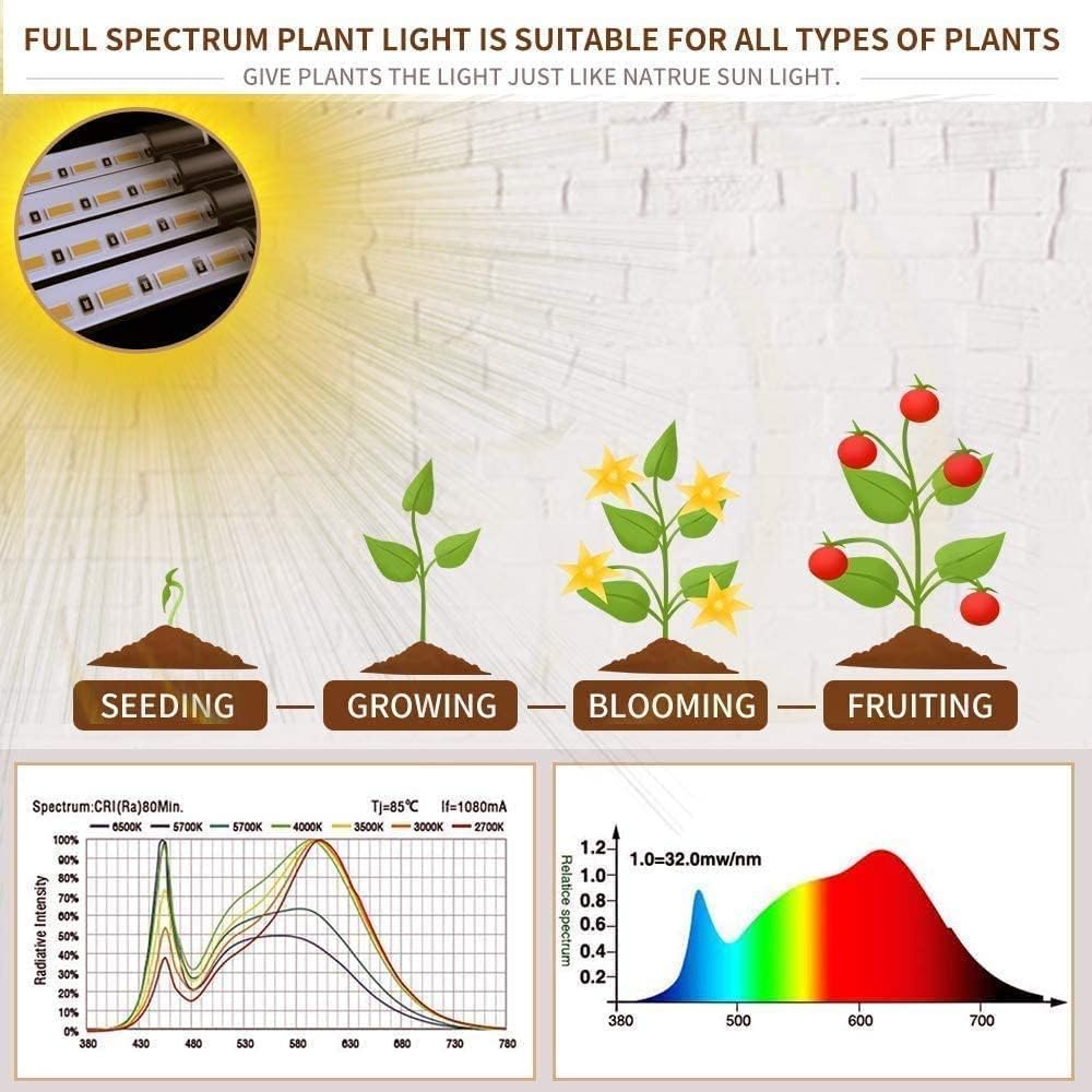 bseah Grow Light Plant Light Indoor Plants, Full Spectrum Clip Plant Lamp, 10-Level Dimmable, Auto ON & Off Timer (2 Pack)