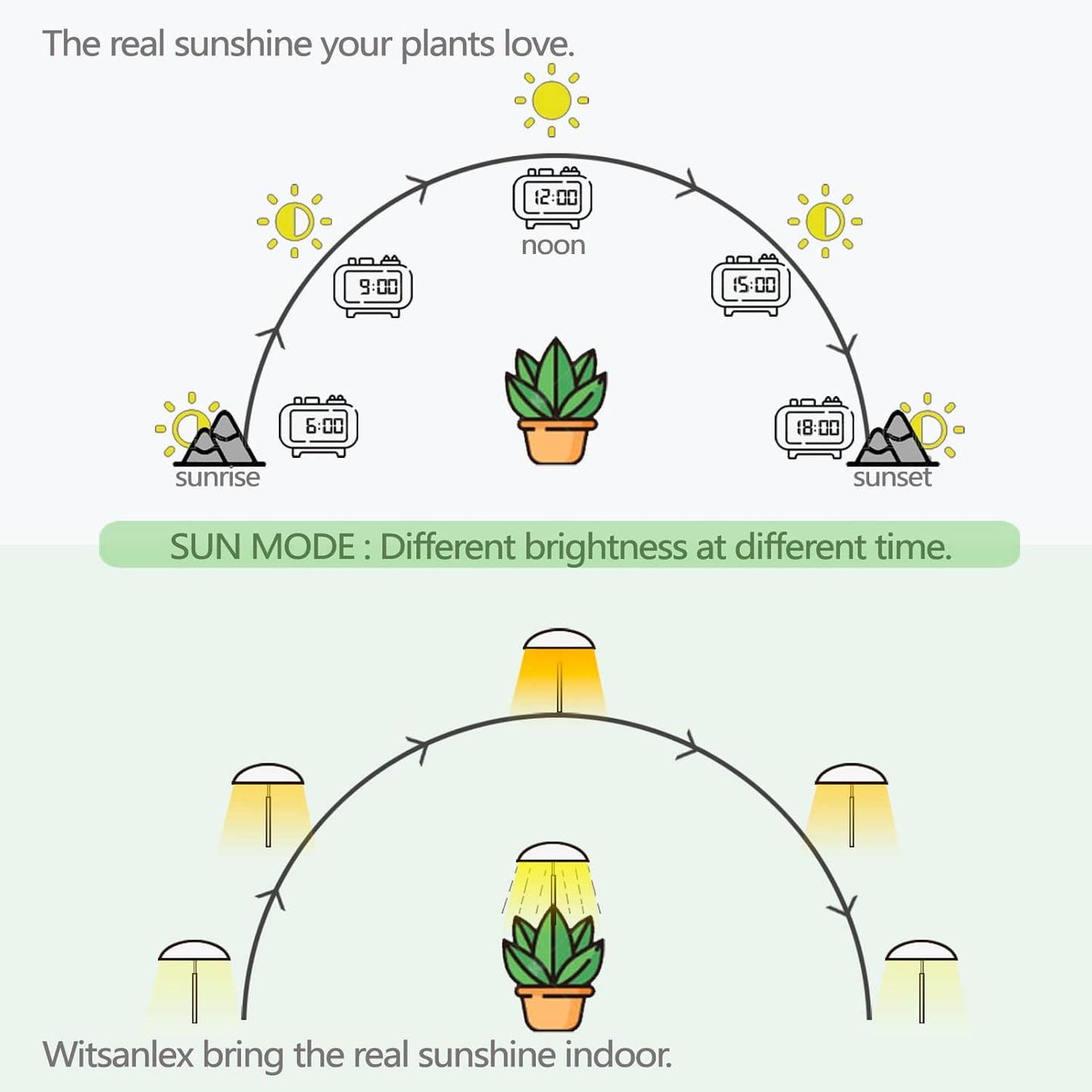 LED Grow Lights for Indoor Plants, Smart USB Small Full Spectrum Plant Lights with Remote, Height Adjustable, Auto On/Off Timer, Ideal for Home Decoration, Black