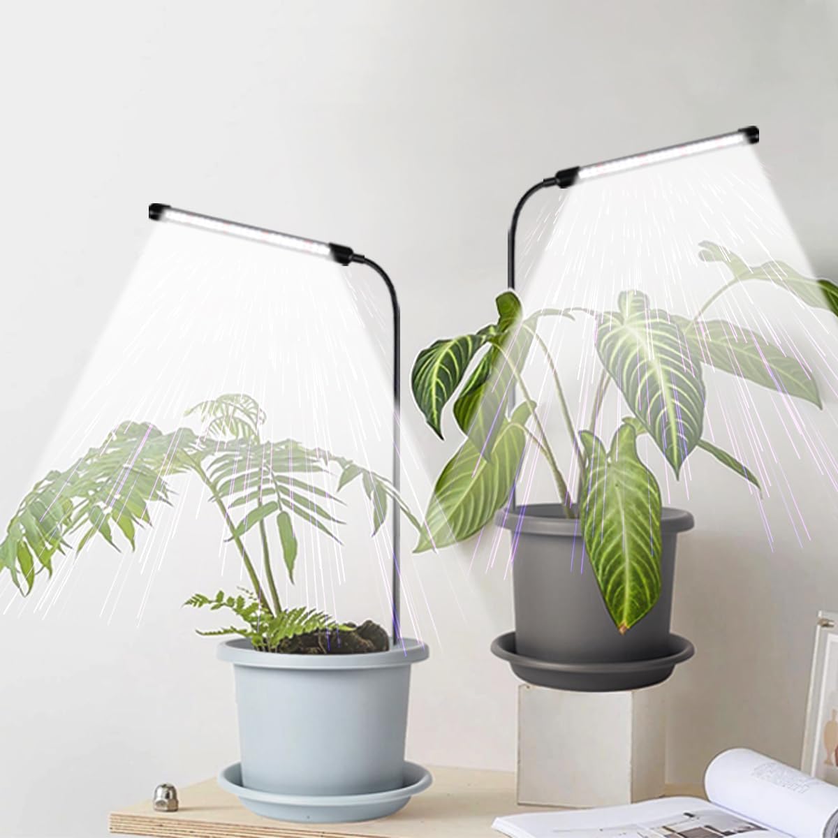 Grow Light 2 Pack, 6000K Full Spectrum Gooseneck Growing Lamp for Indoor Bonsai Pot Succulents Micro Greens Mini Plants, Dimmable & Auto Timer 4 8 12H