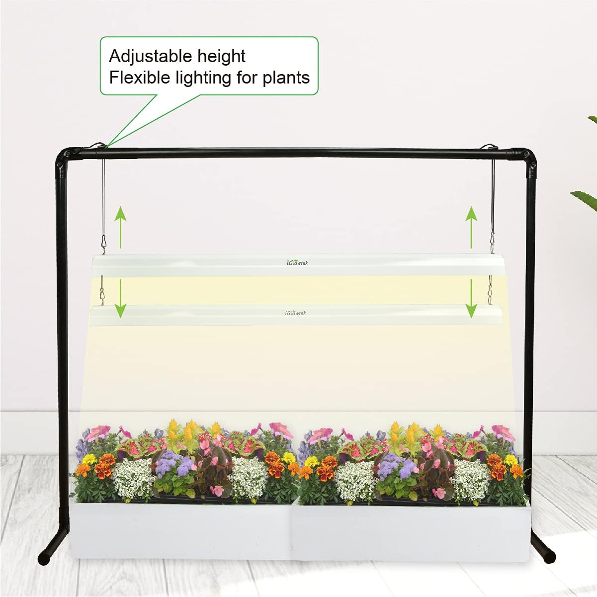 2 feet LED Grow Light Stand for Seedling,Iron Pipe Frame,with Natural White Light Full Spectrum LED Plant Growing Lamp, Light Height Ajustable,with Timer Outlet