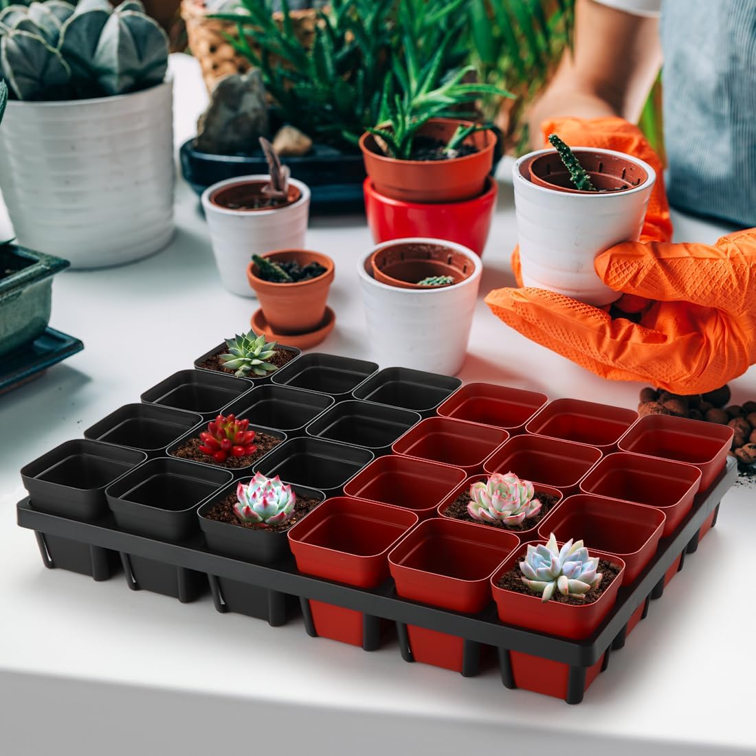 RooTrimmer Square Nursery Pot Tray with 24 Cells, 5 Pack Plant Trays for Pots, Flower Pot Moving Tray, Plastic Planting Tray for Carrying Small Plant Pots(120 Cells in Total