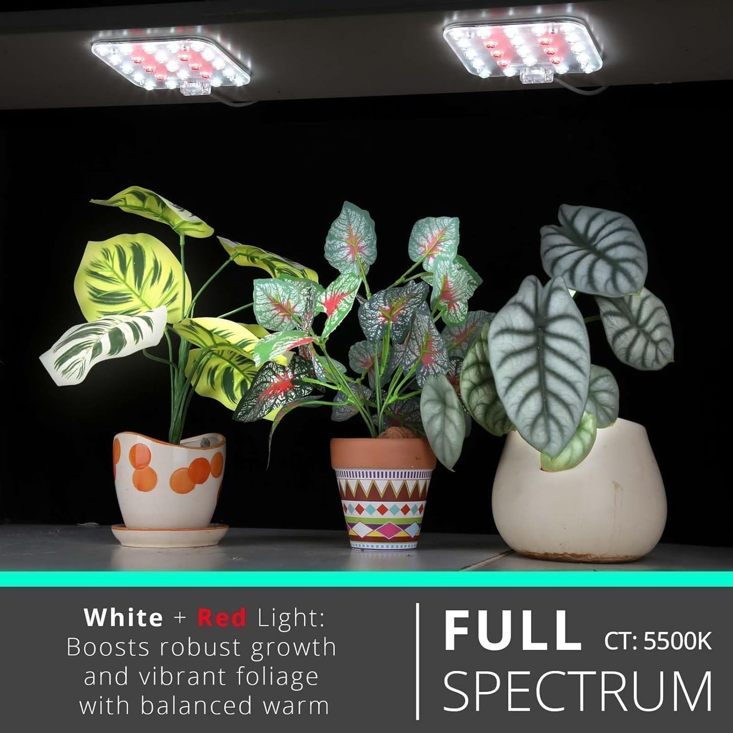 Full Spectrum LED Grow Light for Indoor Plants, 2 Panels 10W with 6/12/16h Timer Dimmable Plant Lights for Flower Veg Plant Growth USB, Daylight White, 1-Pack