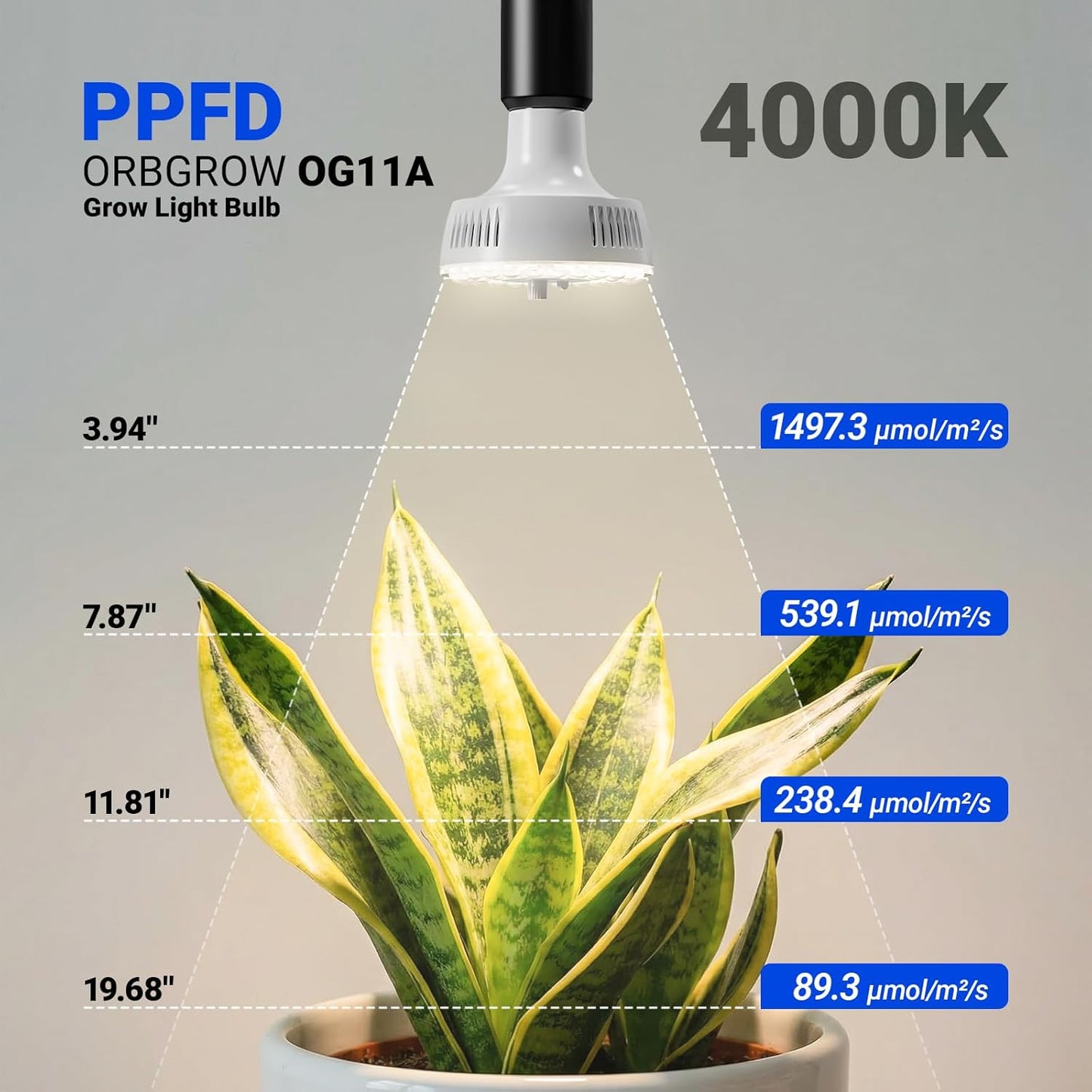 Barrina Orbgrow OG11A Grow Light Bulbs for Indoor Plants, Integrated Dimming & Timing, 4000K 22W(2 x 11W, 200 Watt Equiv), E26 Plant Light Bulb, Full Spectrum for Seeds and Greens, 2 Packs, White