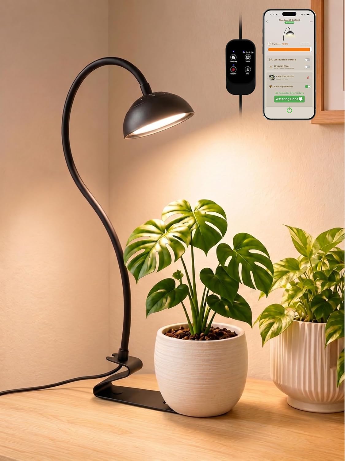 GLOWRIUM Smart Grow Lights for Indoor Plants,10W Full Spectrum LED Plant Light with 3/9/12 Timer,10 Dimmable Levels,Height Adjustable Grow Light with Base (Black)