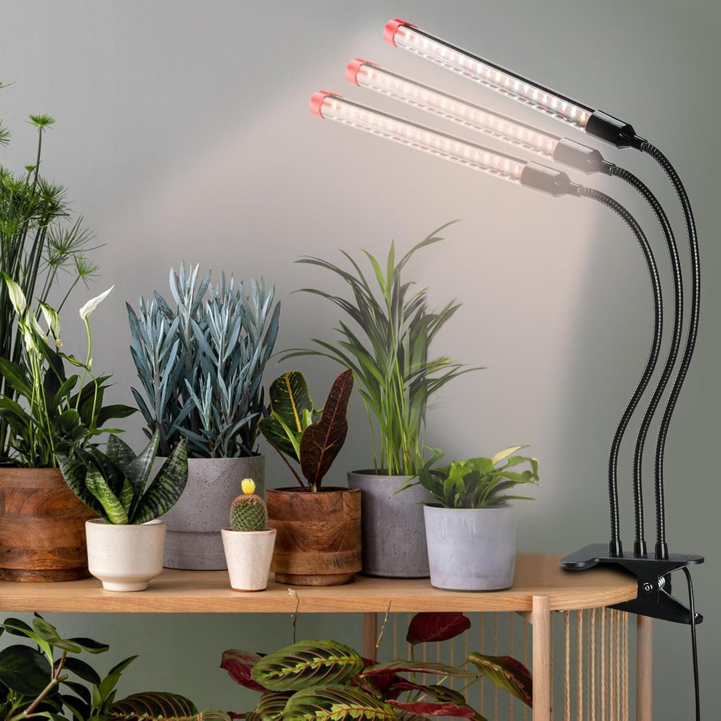 Gamechanger! 27 Watt Power Draw, NO Need Adapter, FECiDA 2026 3Head Clip Grow Lights for Seed Starting, Bonsai, Small Indoor Plants, Enough Bright Like Sun, 4/8/12/16/20H Timer