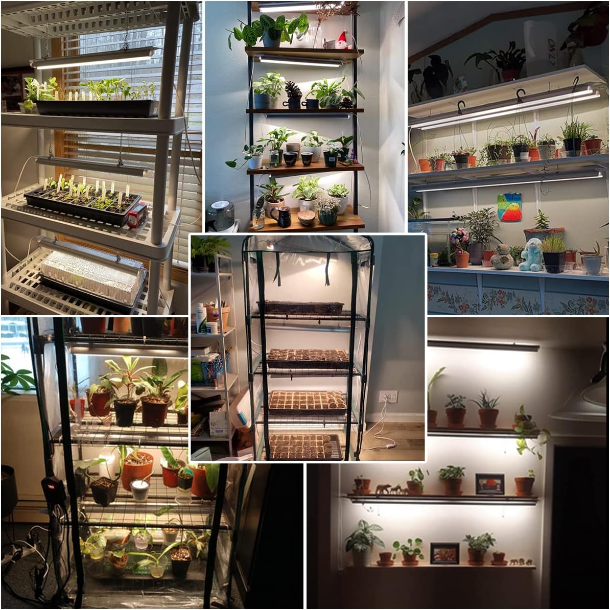GYTF T5 LED Grow Lights, 204pcs Bulb 5000K White Full Spectrum Plant Light Strips for Indoor Plants, Shelves Greenhouse Seedling, End-to-End Connectable with V-Shaped Reflector