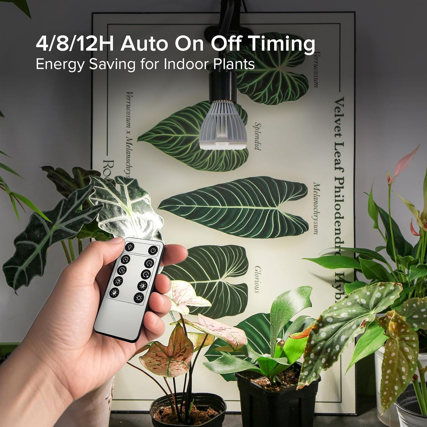 Dimmable Grow Light Bulb, Full Spectrum with Remote Control, Auto On Off Timing 4 8 12 Hrs, 32W PAR20 (350 Watt Equiv) Grow Lamp with Optical Lens for High PPFD, Energy Saving for Indoor Plants
