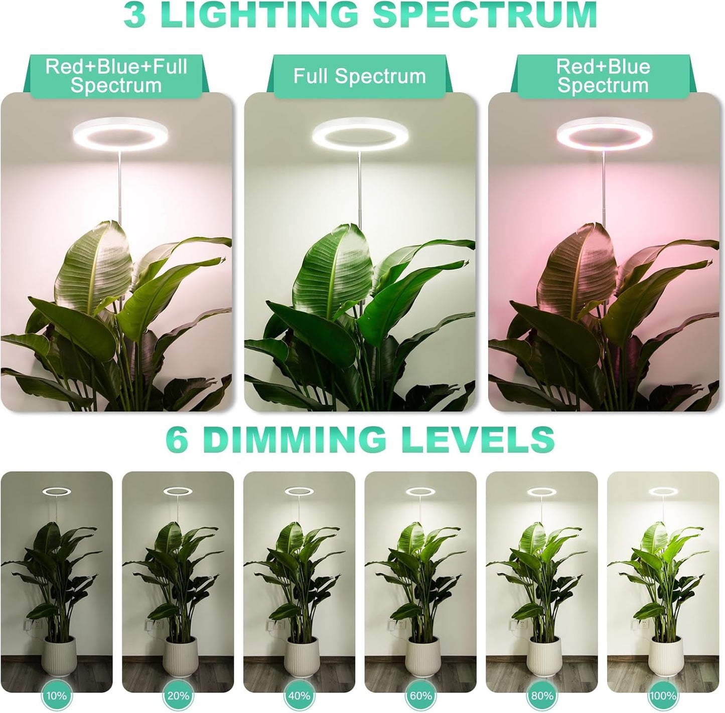 LORDEM 10" Grow Light for Indoor Plants, Full Spectrum Plant Lamp with160 LEDs, 4H/8H/12H Timer, 6 Dimmable Levels, 3 Spectrum Modes, Height Adjustable 65", Ideal for Large Tall Plants, Pack of 2 Pack