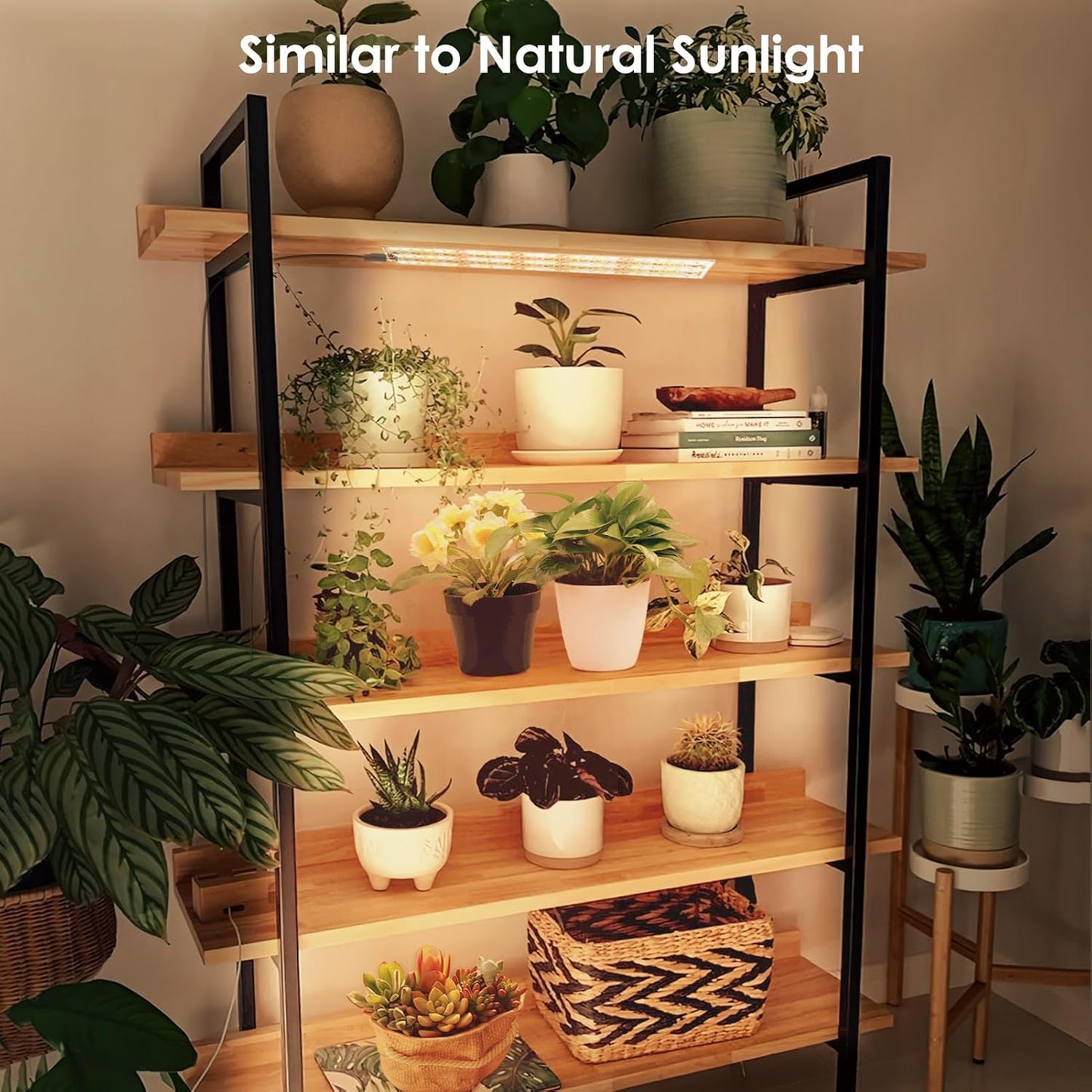 4PCS LED Grow Lights, 40w Full Spectrum Grow Light 540 LEDs Grow Lights for Indoor Plants with Timer Dimmable Thin Grow Light Panel for Under Cabinet Plant Seedlings Flowers Veg and More