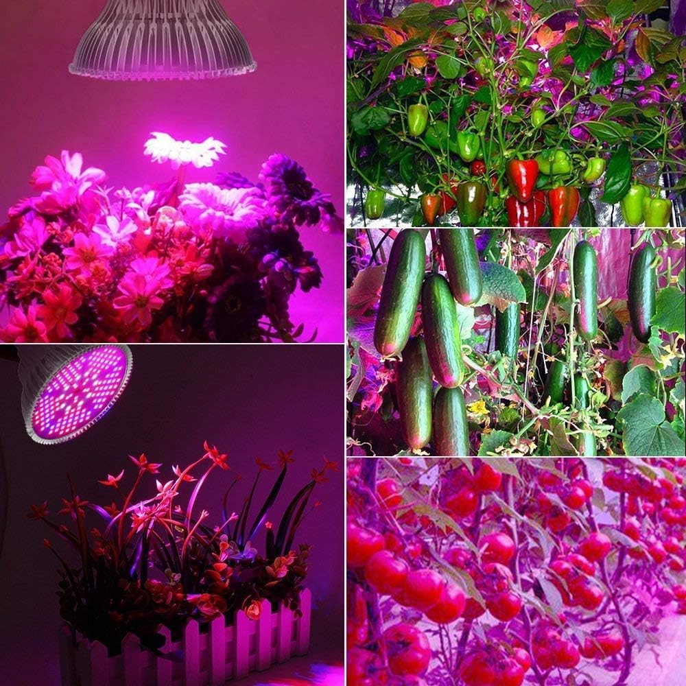 highydroLED 100W Led Grow Light Bulb Full Spectrum,Plant Light Bulb with 150 LEDs for Indoor Plants,E26/E27 Socket,Grow Lamp for Hydroponic Indoor Garden Greenhouse Succulent Veg Flower