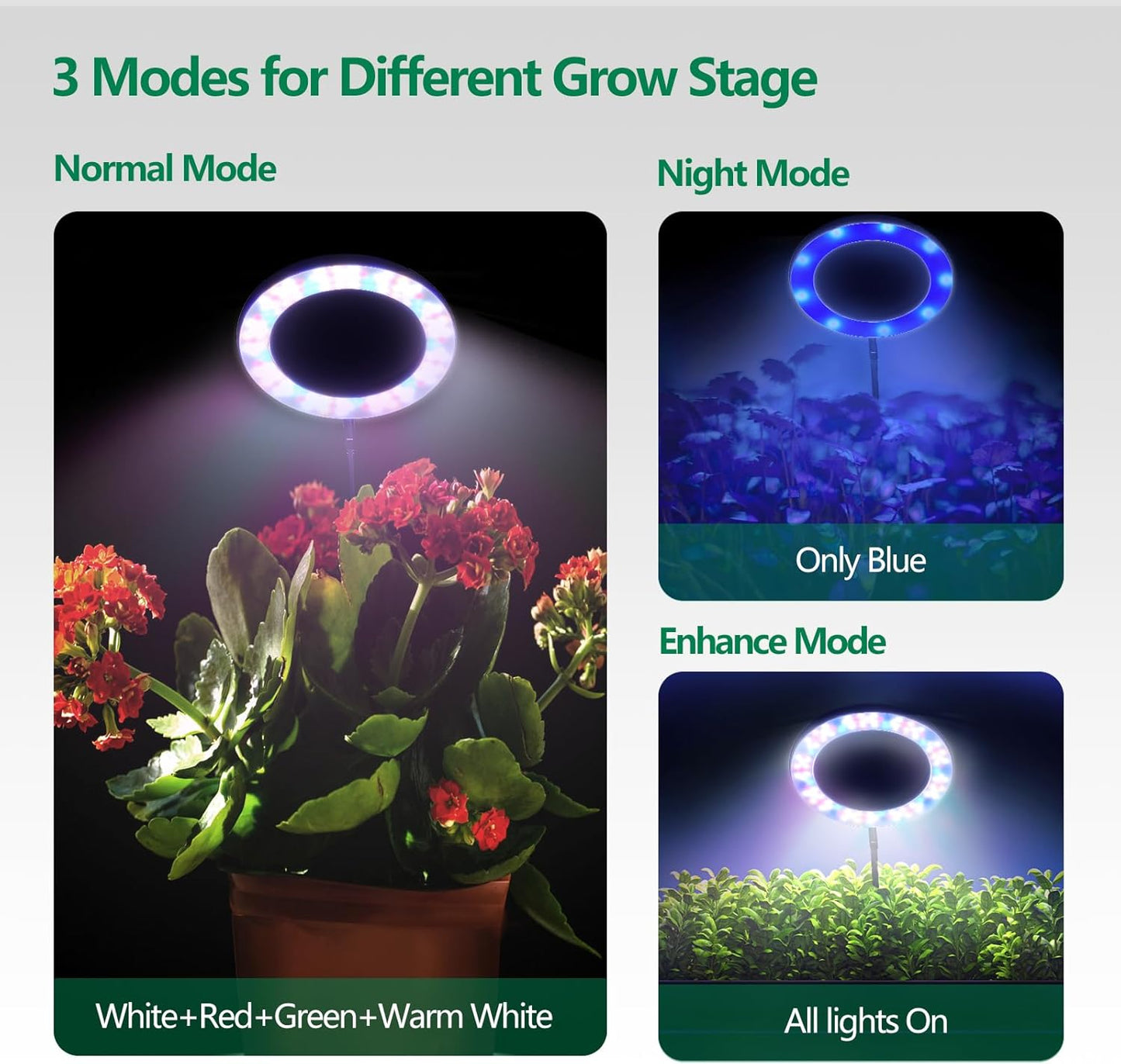 WaterRebirth 8 inch LED Grow Light for Indoor Plants, Full Spectrum Halo Plant Light with 3/9/12H Auto Timer, 10-Level Dimmable, Height Adjustable for Tall Plants
