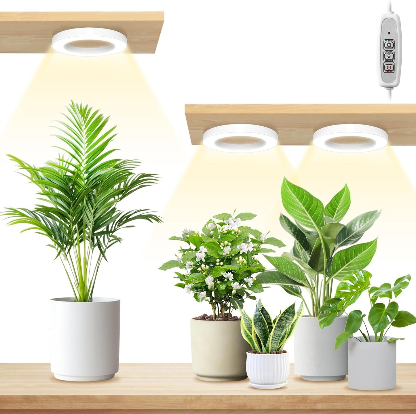 LORDEM 6.3” Ceiling Grow Lamp for Indoor Plants, 216 LEDs Full Spectrum Halo Plant Light, Under Cabinet Grow Lights with 4/8/12H Auto Timer, 3 Switch Modes, 4 Dimmable Brightness Levels, Tri Head
