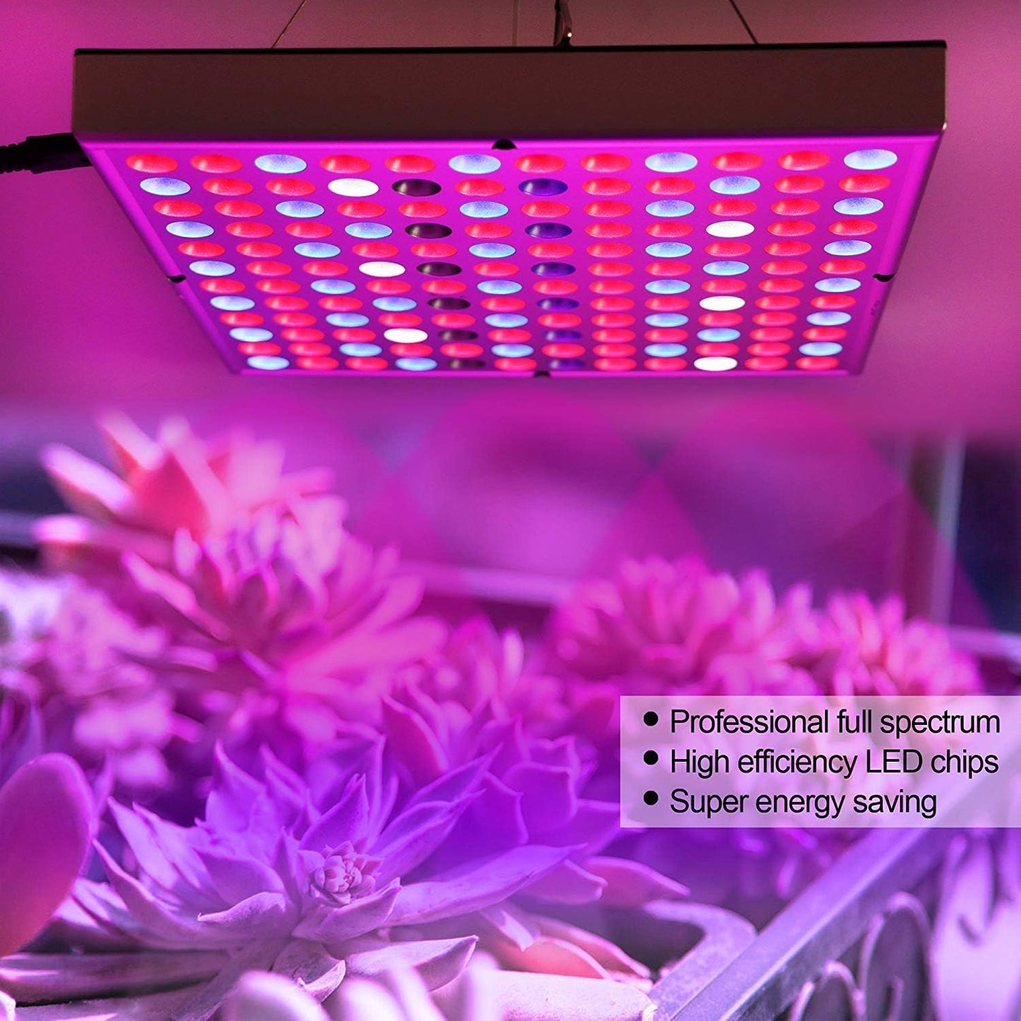 LED Grow Lights for Indoor Plants, Panel Plant Light Full Spectrum with IR & UV Bulbs for Seedlings,Micro Greens,Clones,Succulents (Size:9.9x9.9inches)