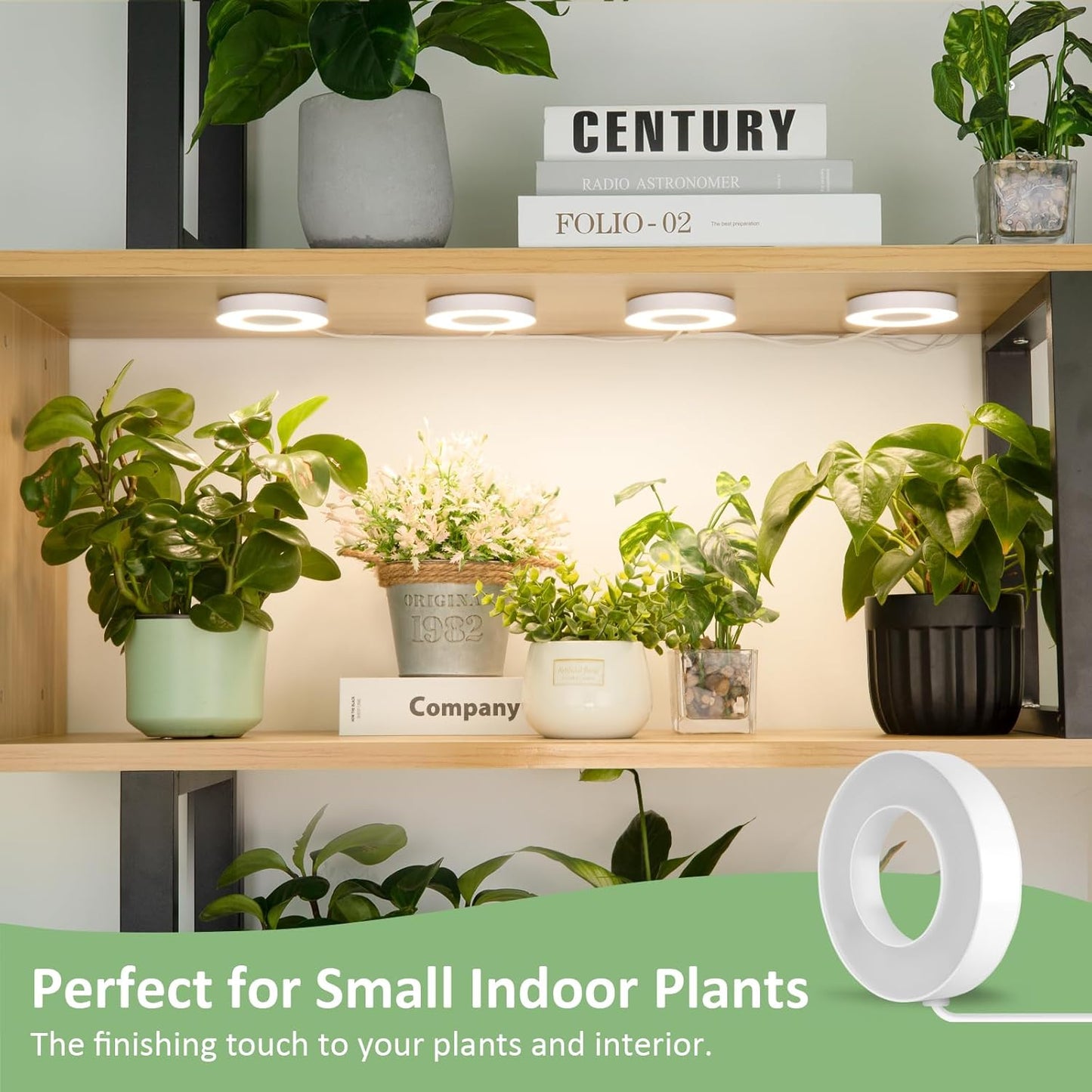 LORDEM Grow Light for Indoor Plants, 192 LEDs Ceiling Full Spectrum Plant Light, Quad Head Plant Lamp with 3/6/12H Auto Timer, 6 Brightness Levels, Individual Bulb Control, Corded