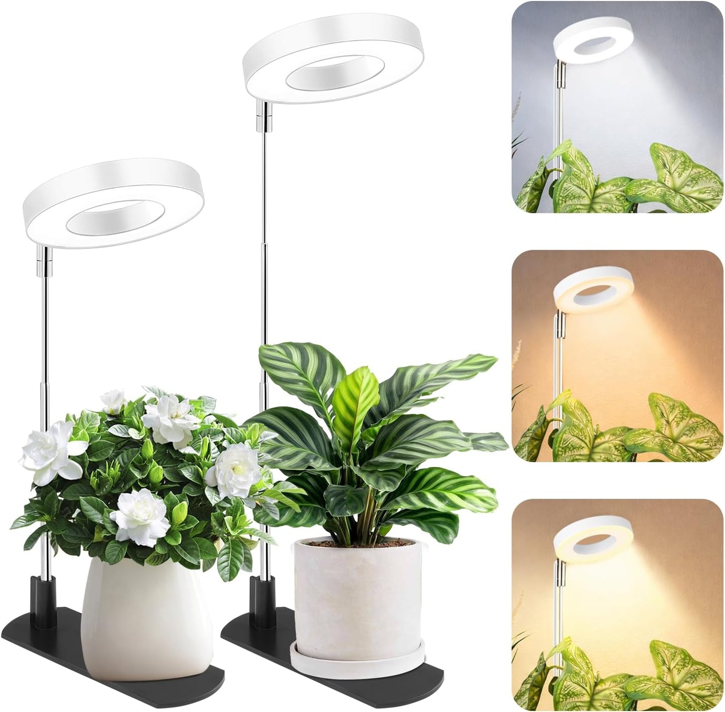 LBW Grow Light for Indoor Plants, Height Adjustable Plant Grow Lamp with Auto On/Off Timer 6/8/12/16H, 3 Colors,5 Dimmable Brightness, for Small Plants, White, 2 Packs
