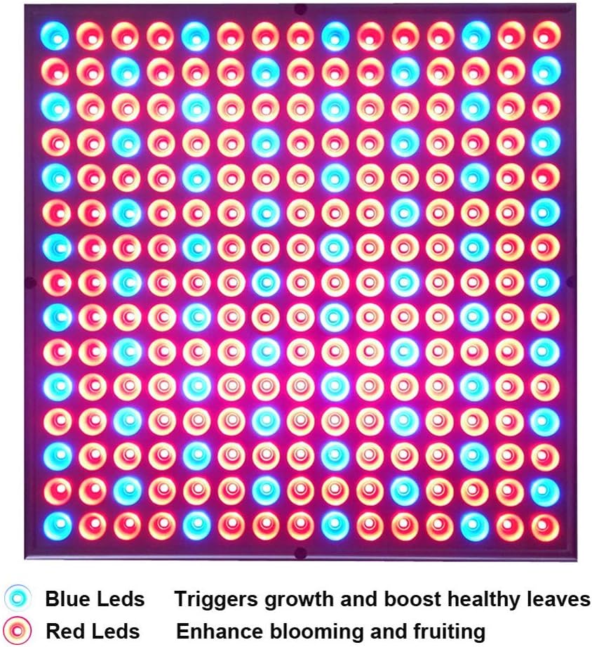Diboys LED Grow Lights, 75W Growing Lamp Bulbs for Indoor Plants, Red Blue Full Spectrum Plant Light for Seedling, Gardening, Hydroponics, Greenhouse
