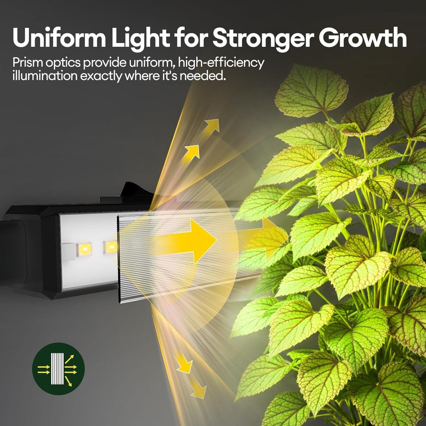 Maygrove Grow Lights for Indoor Plants, Sunlike Full Spectrum 5000K 2FT LED Growing Lamp 60W (4 x 15W), T5 Grow Light Strip for Seed Starting, Vegetables, Linkable, Black, 4-Pack