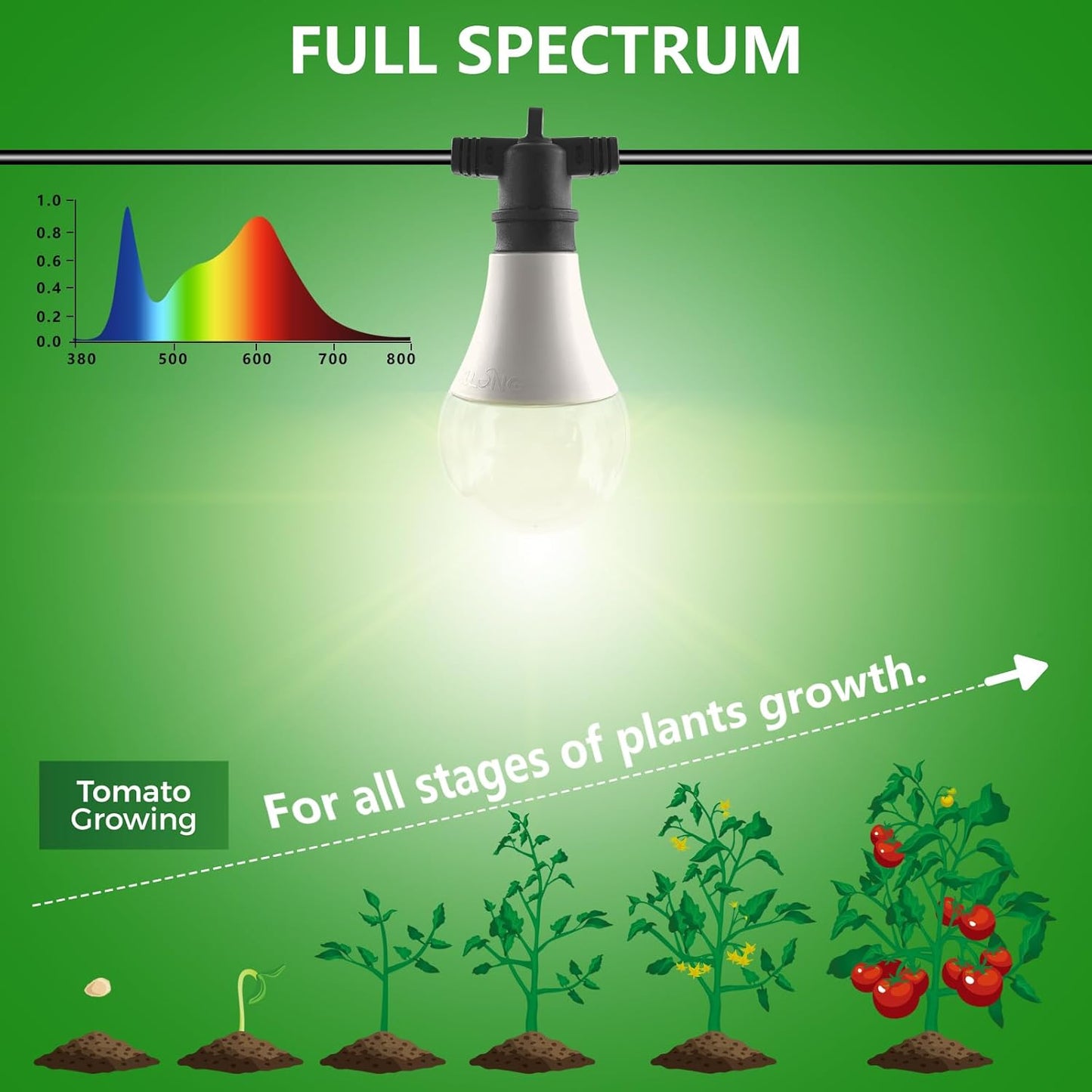 Hanging Grow Light String Bulbs LED Growth Bulb A25, Full Spectrum Plant Light E26 Base 15W, houseplant Growting lamp, Greenhouse Indoor or Outdoor (3 Lights and Cord)