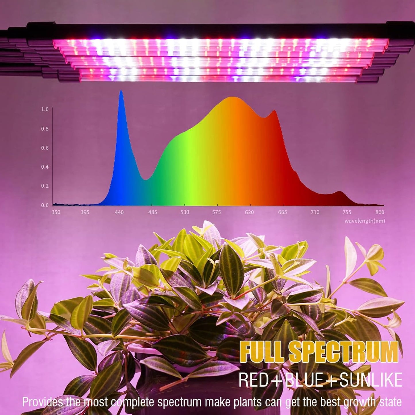 Grow Lights for Indoor Plants [ 10 in1 ] 500 LEDs, Full Spectrum Grow Light for Indoor Growing with Tripod Stand, Auto On/Off Timing 4/8/12H, Plant Grow Lights Indoor.