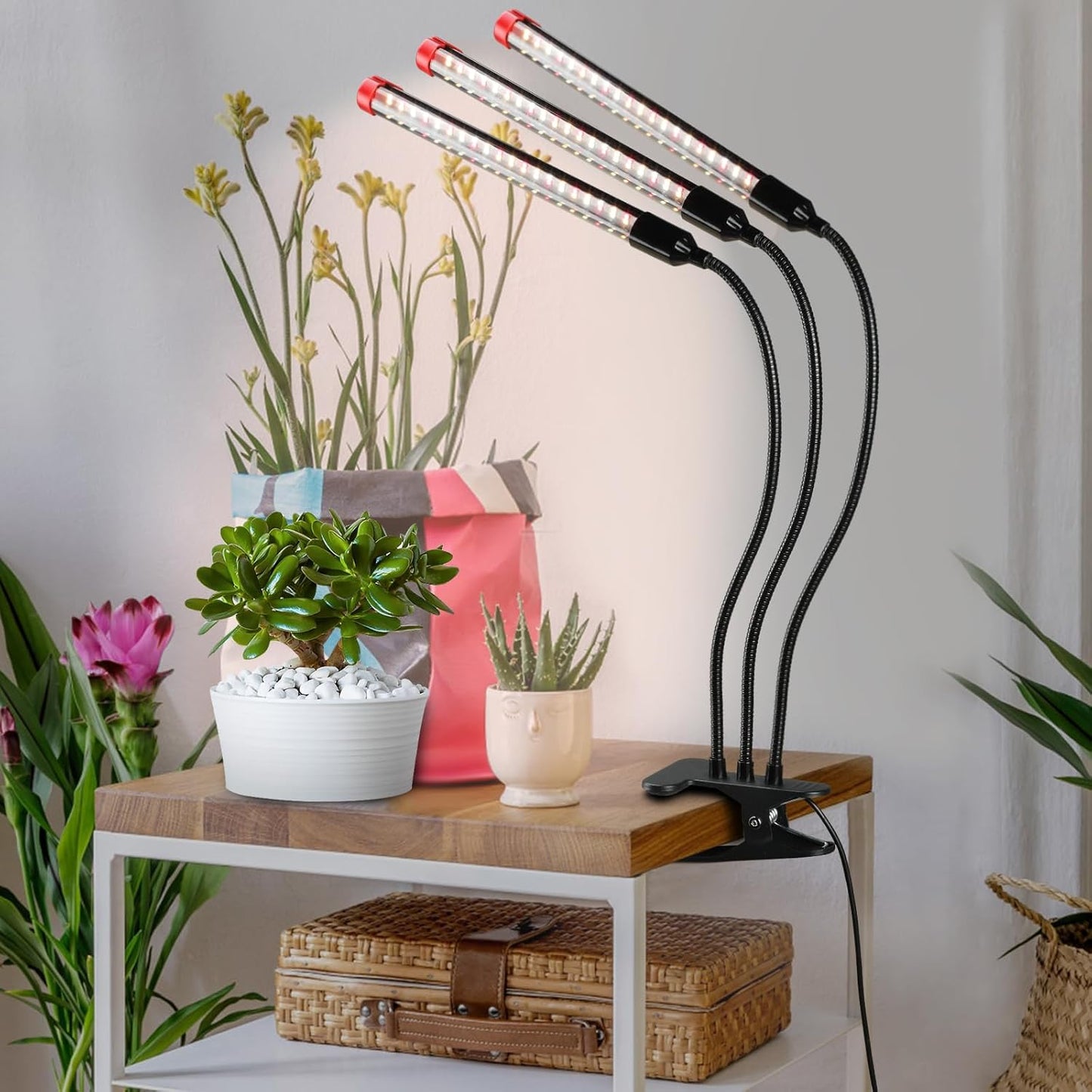 Gamechanger! 27 Watt Power Draw, NO Need Adapter, FECiDA 2026 3Head Clip Grow Lights for Seed Starting, Bonsai, Small Indoor Plants, Enough Bright Like Sun, 4/8/12/16/20H Timer
