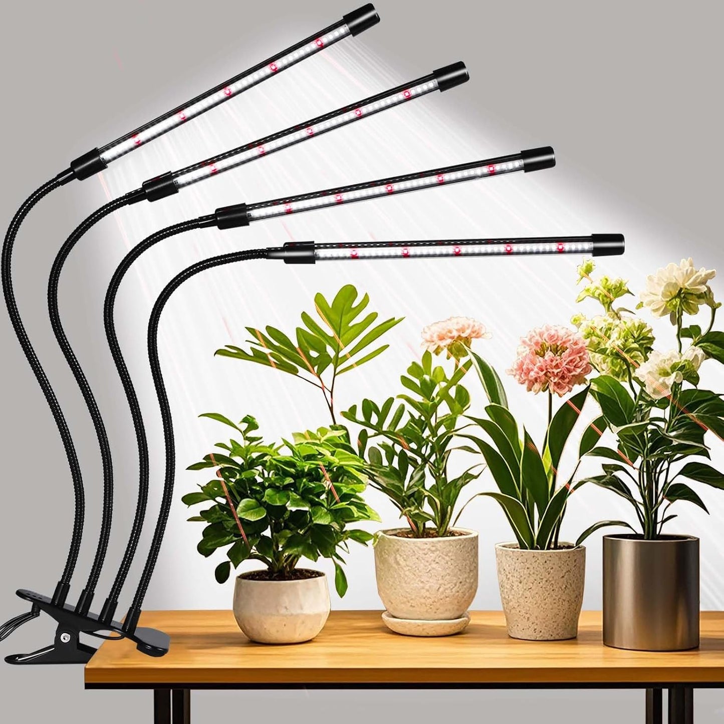 RWNTAO Grow Lights for Indoor Plants,168 LEDs Clip Plant Lights, Full Spectrum LED Plant Growing Lamps with Flexible Gooseneck, 3/9/12H Timer, 3 Spectral Modes, 10 Dimmable Levels, 4 Head