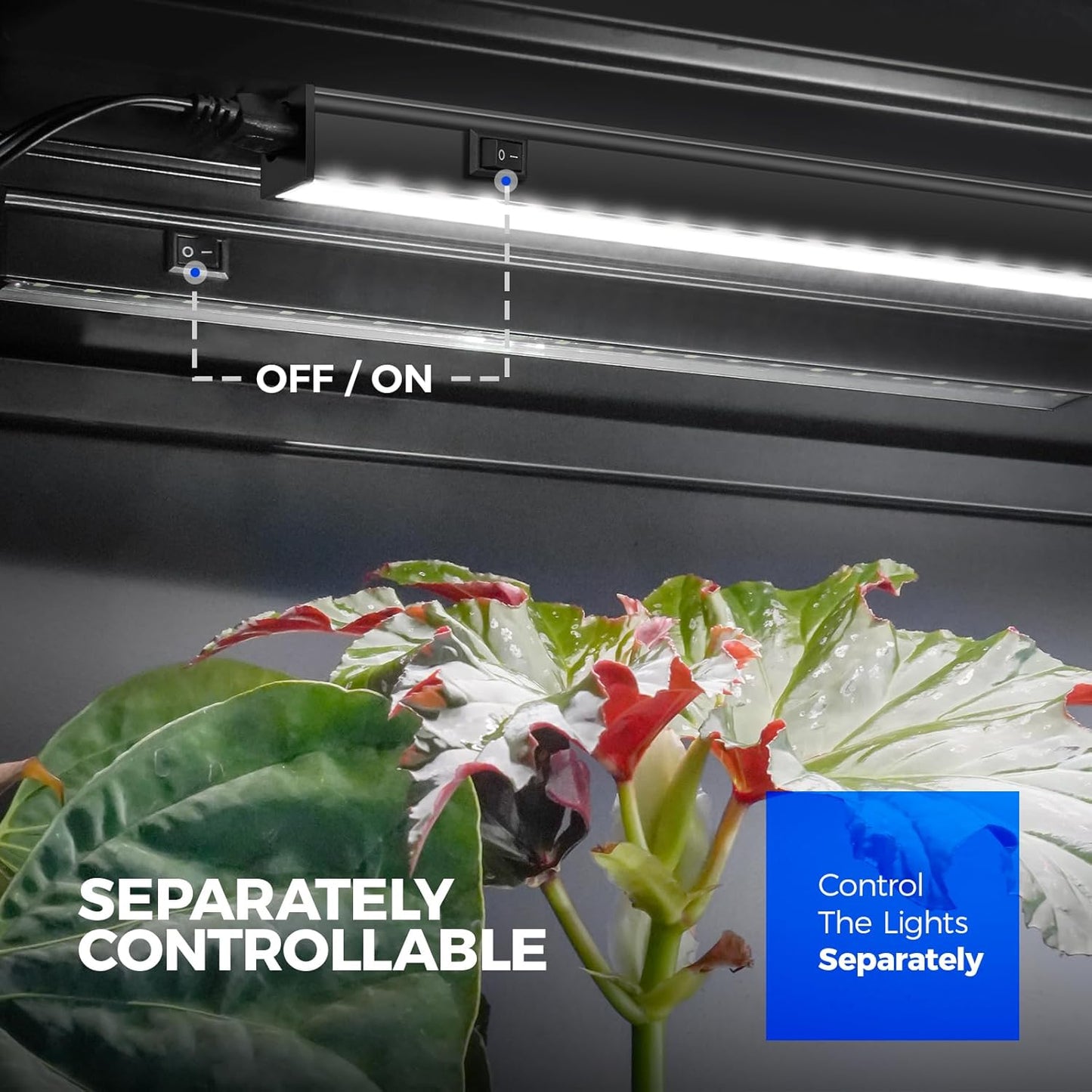 Barrina T5 Grow Lights, 5000K Full Spectrum Daylight White, LED Grow Light Strips, 1FT Plant Growing Lamp with Magnetic Bar, Plant Lights for Indoor Plants, Greenhouse, Black Cover, Linkable, 8 Packs