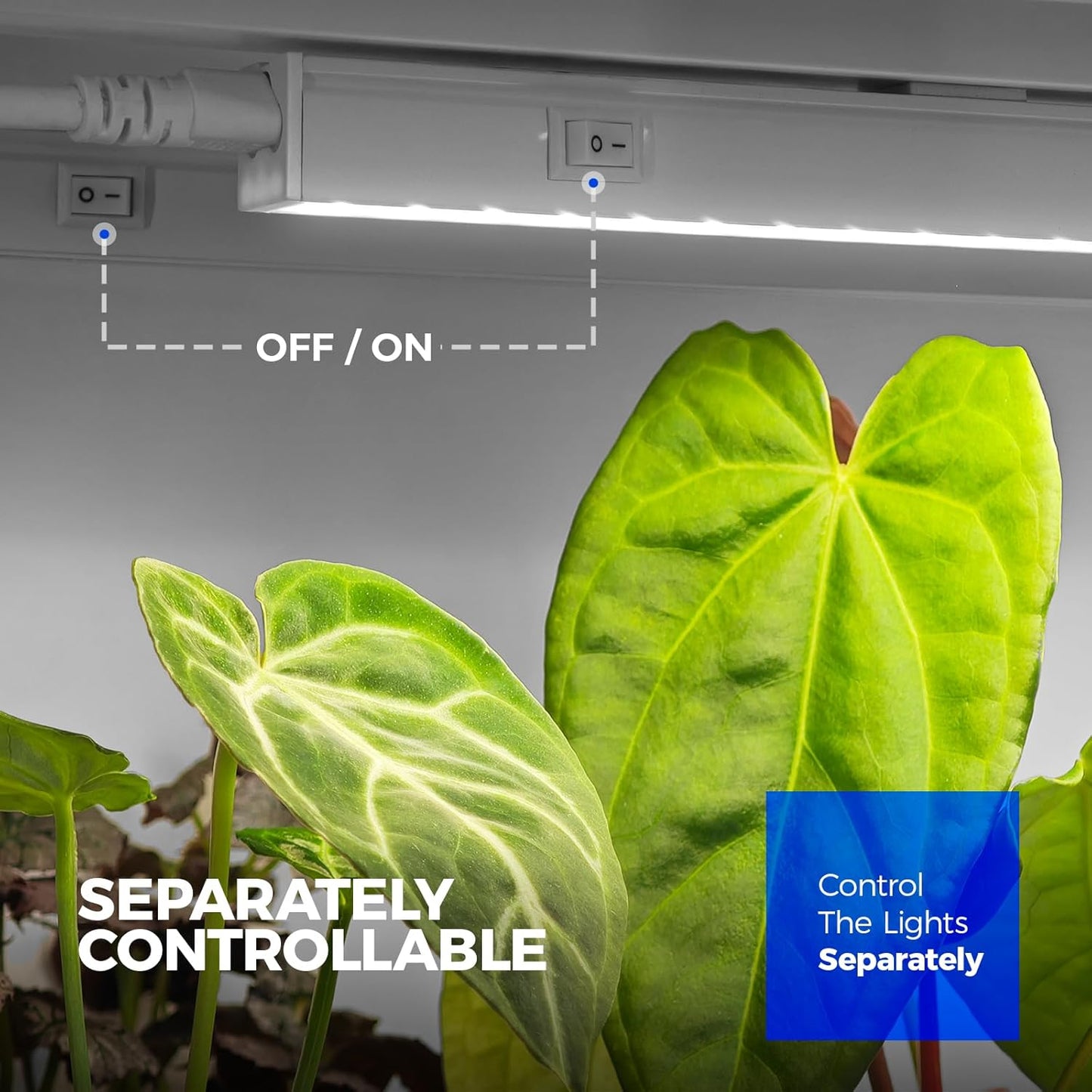 Barrina T5 Grow Lights for Indoor Plants, 2FT 40W (4 X 10W) LED Grow Light with Separate Switch, Linkable Grow Lamp, Indoor Plant Lights for Growth with White Cover, 5000K, 4 Packs