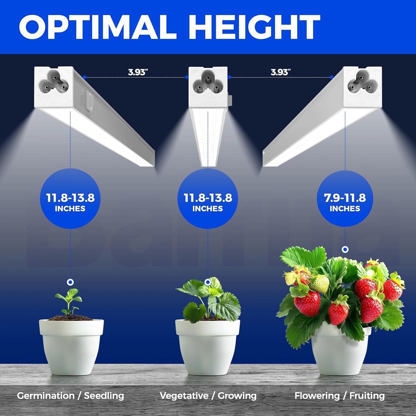 Barrina T5 Grow Lights for Indoor Plants, 5000K Full Spectrum, 1FT LED Growing Lamp, Plant Light Strip, for Seed Starting, Vegetables, Plug and Play, 4-Pack