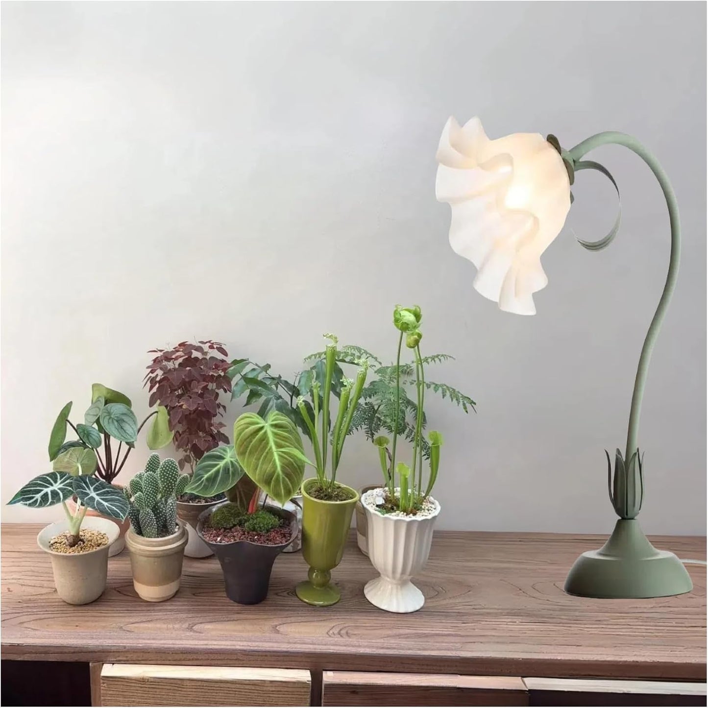 Table Top Grow Light for Indoor Plants – Decorative Desk Plant Light for Succulents Bonsai Cactus, Adjustable Desktop Grow Lights with Base, Cute Office Mini Grow Lamp