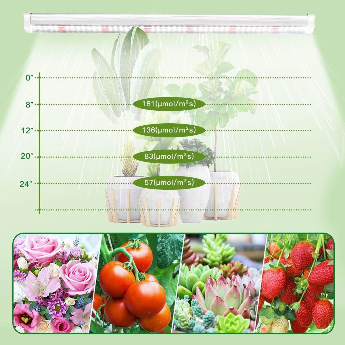 GYTF T5 LED Grow Lights, 306-Bulbs 5000K White Full Spectrum Plant Growing Lamp Bars for Indoor Plants Seedling Hydroponics, Daisy-Chain Design (6 x 10W, 300W Equivalent)