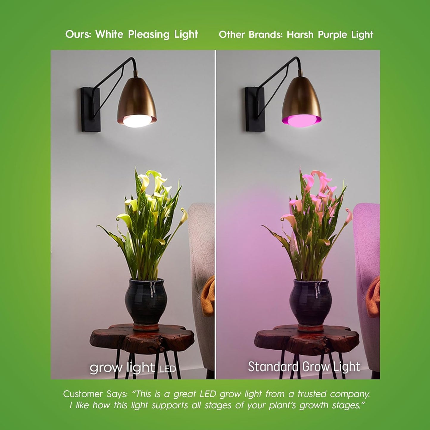 GE Grow Lights for Indoor Plants, BR30 Indoor Floodlight, LED Light Bulbs for Flowers and Fruit, Advanced Red Light Spectrum, 25,000 Hours Lifespan, 15 PPF, 2 Pack (Packaging May Vary)