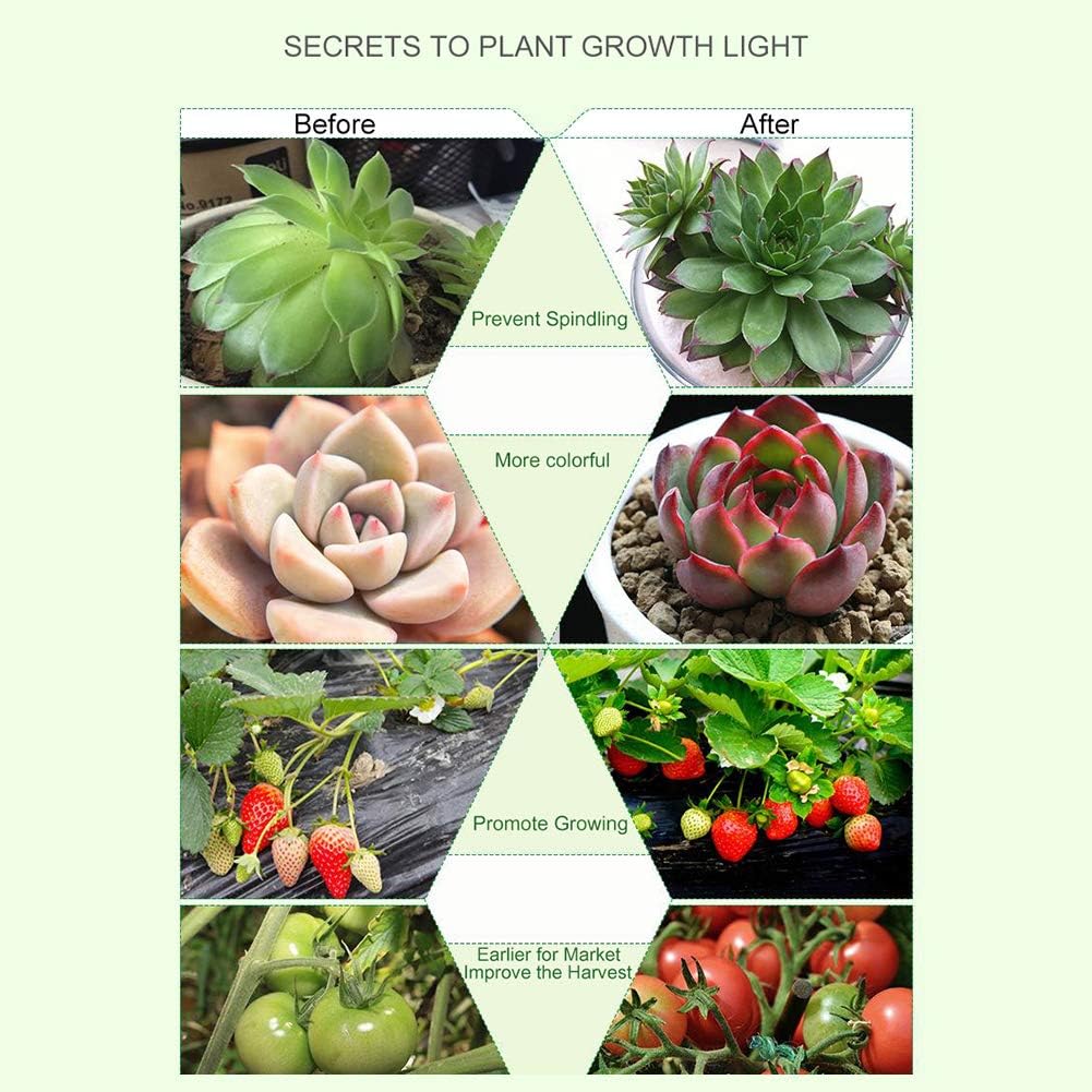 40W Grow Light LED Plant Grow Lights Full Spectrum for Indoor Plants, Auto ON Off with 3/9/12H Timer, 9 Dimmable Lightness Clip-On Desk Grow Lamp Bulbs