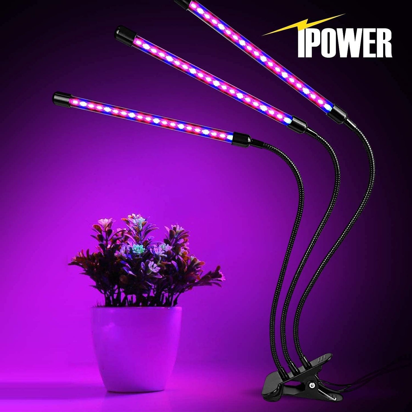 iPower 3 Heads Red&Blue Spectrum LED Grow Light with Adjustable Gooseneck, Auto ON & Off Timer and Multi-Dimmable Levels