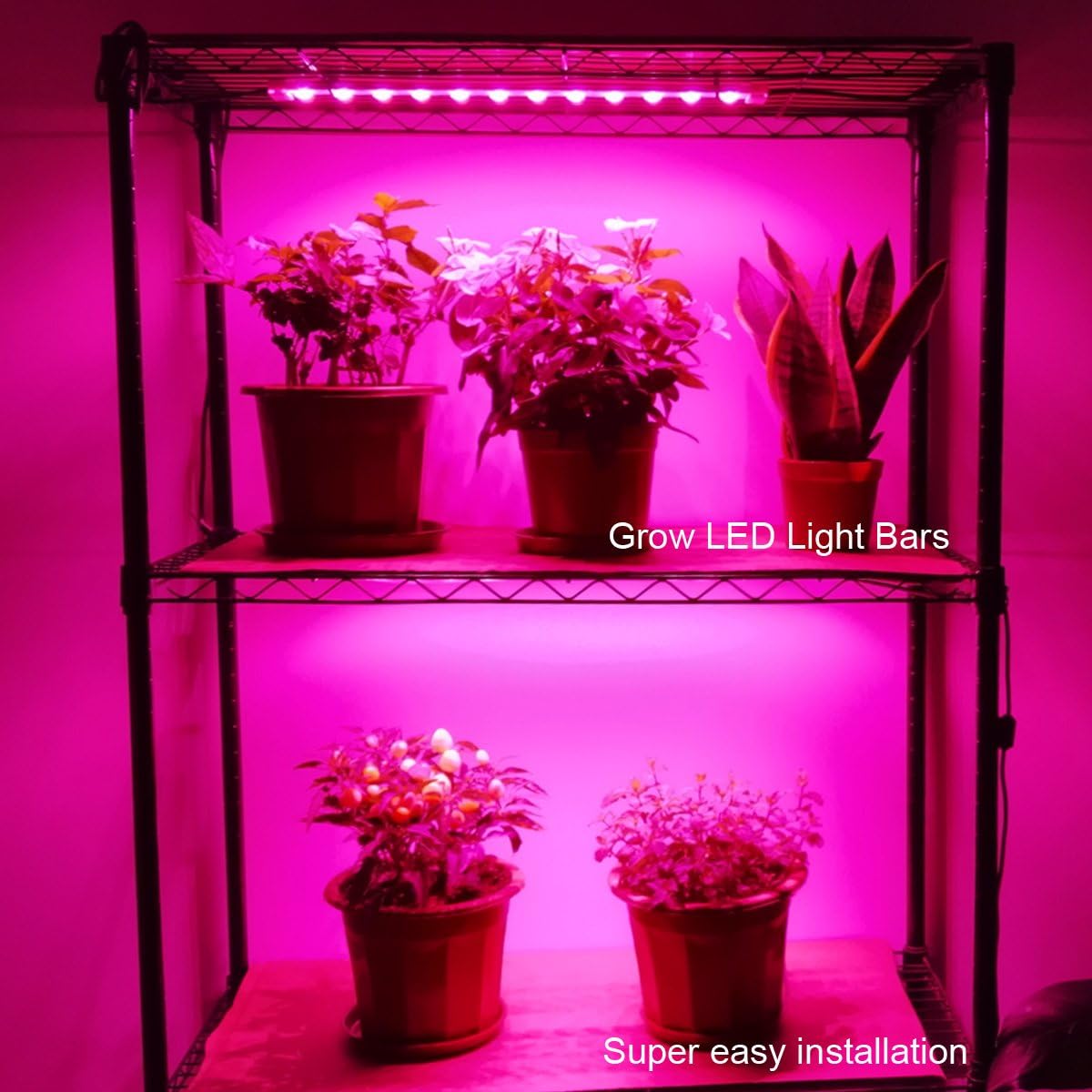 Litever Grow Light Strip Kit 36W with Timer, 4 pcs 16 Inches LED Grow Light Strips with Extension Cables, Mounting Accessories for Greenhouse, Grow Shelf. Perfect for Indoor Growing-(4-Strip-Kit)
